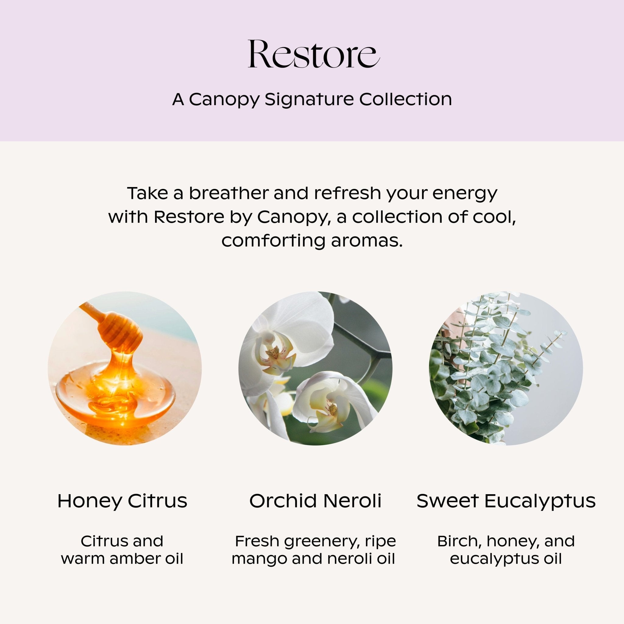 Restore Aroma Kit Canopy