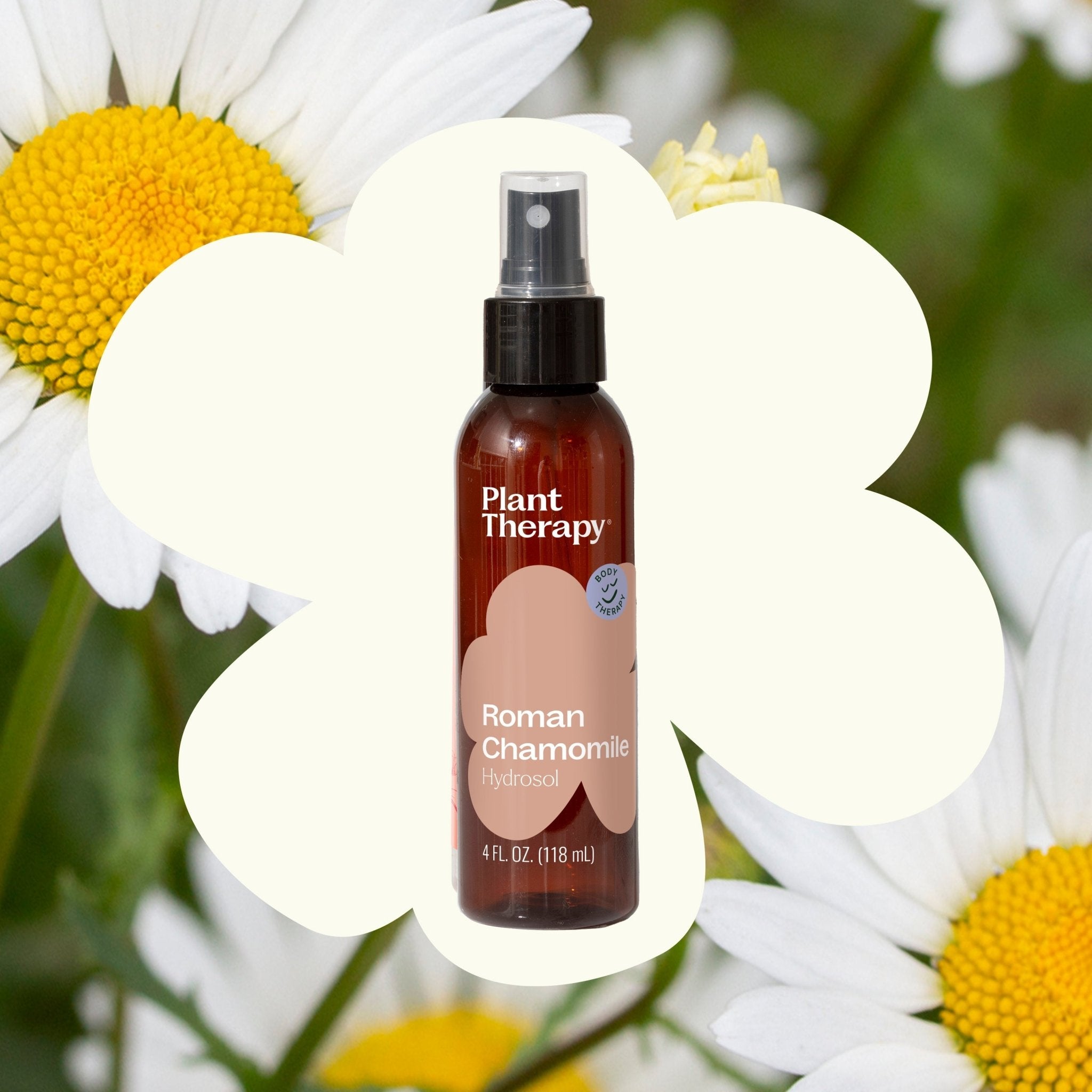 Roman Chamomile Hydrosol Plant Therapy