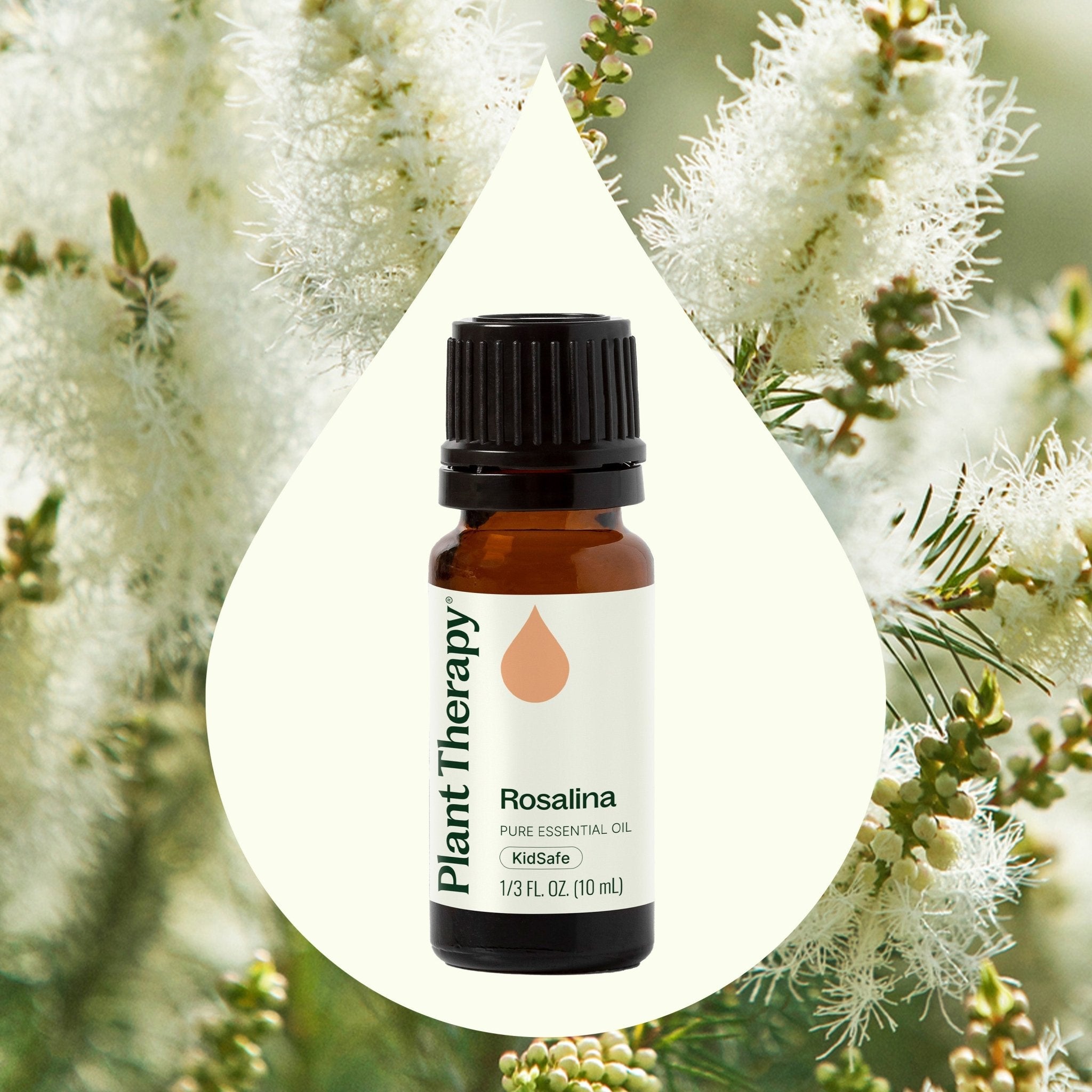 Rosalina Essential Oil Plant Therapy