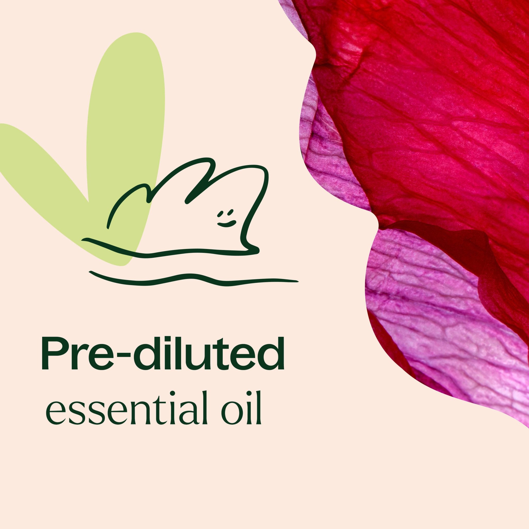 Rose Essential Oil Pre - Diluted Roll - On Plant Therapy