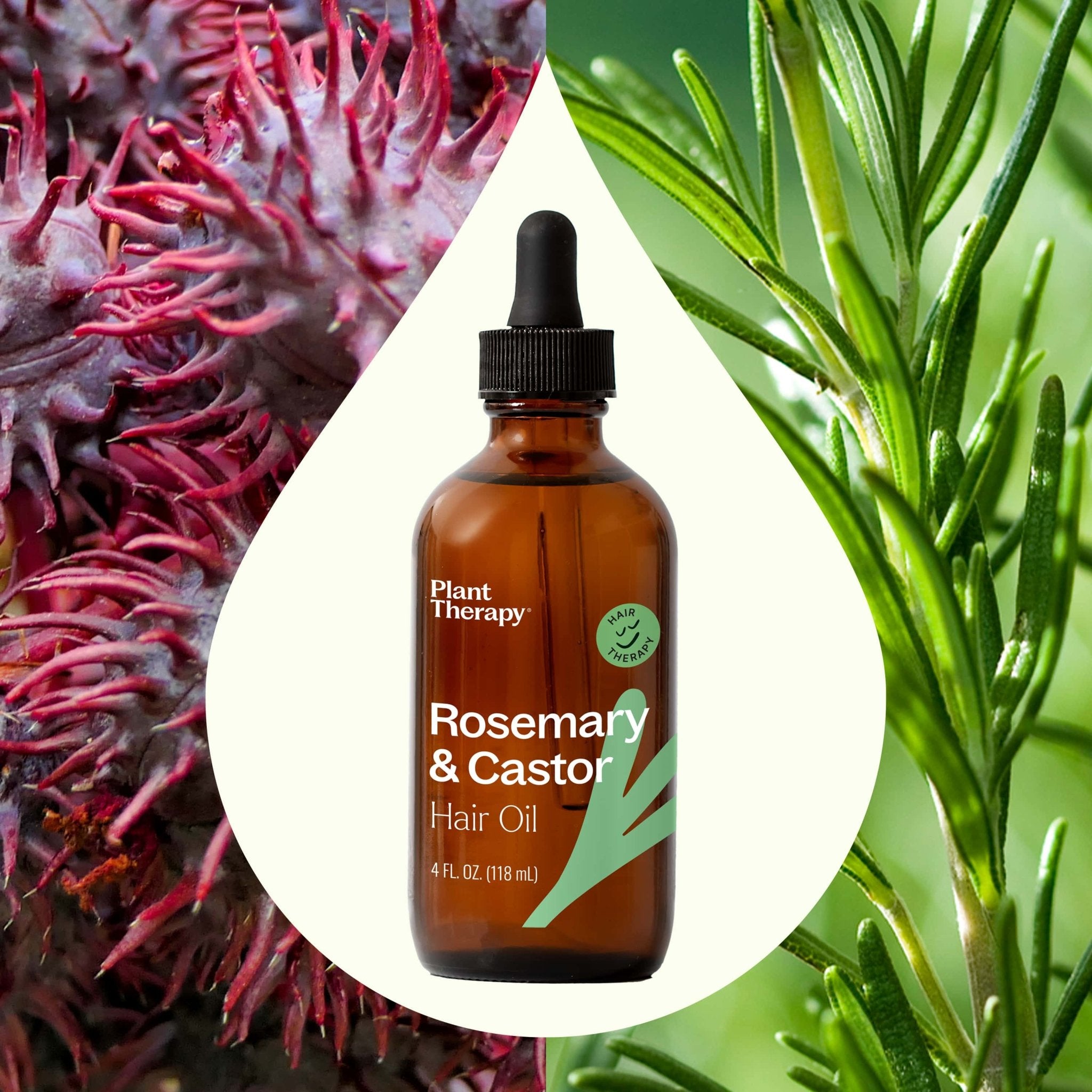 Rosemary & Castor Hair Oil Plant Therapy