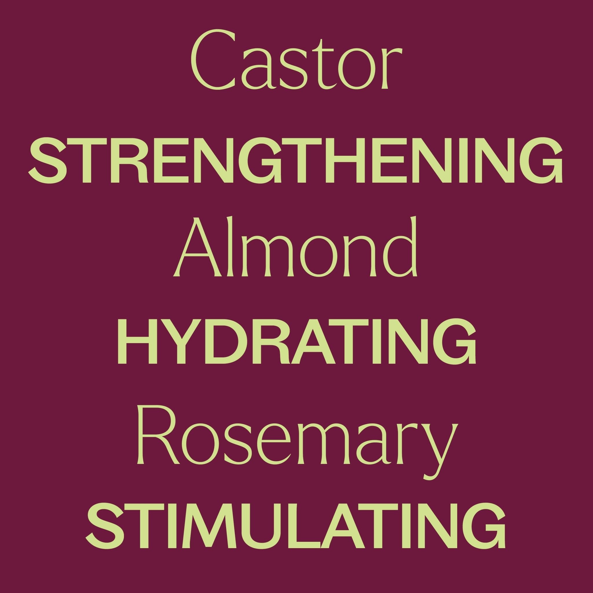 Rosemary & Castor Hair Oil Plant Therapy