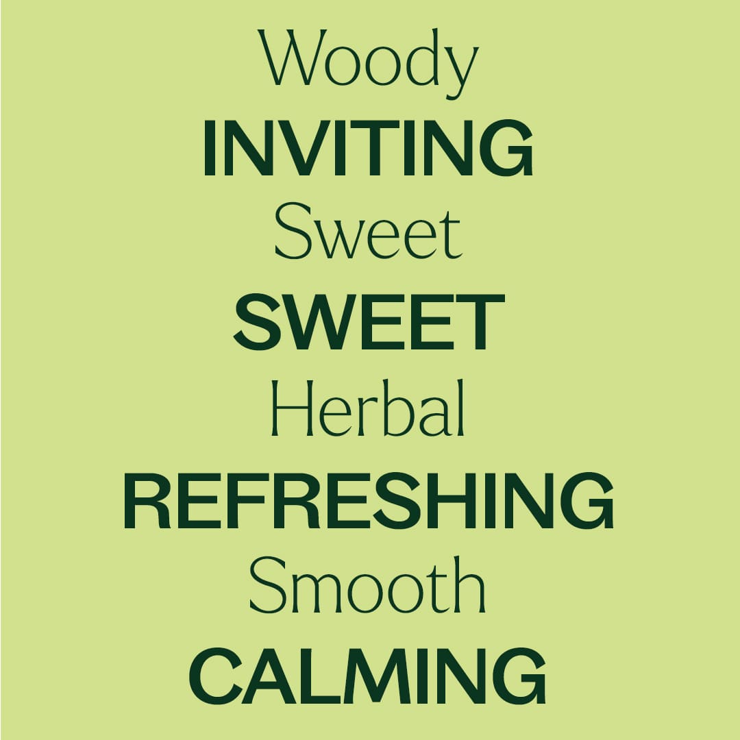Sagewood Ember Room Spray 2 oz Plant Therapy