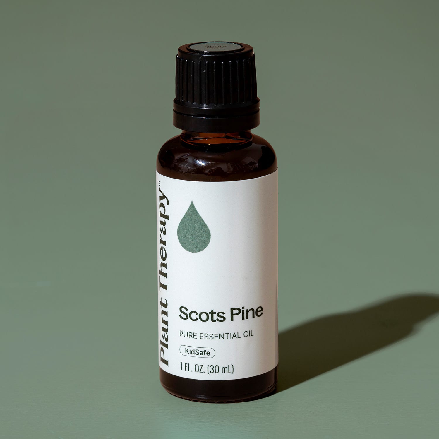 Scots Pine Essential Oil Plant Therapy