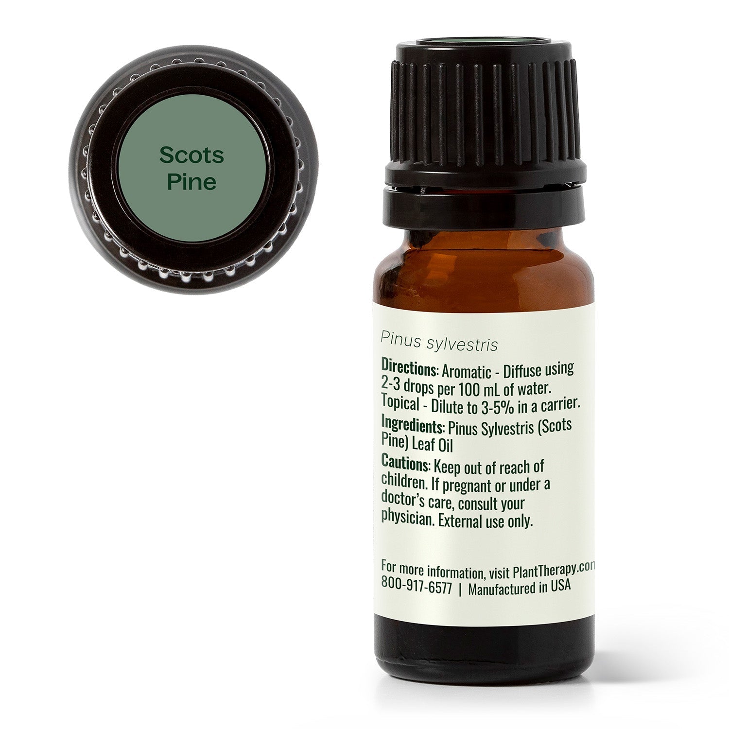 Scots Pine Essential Oil Plant Therapy