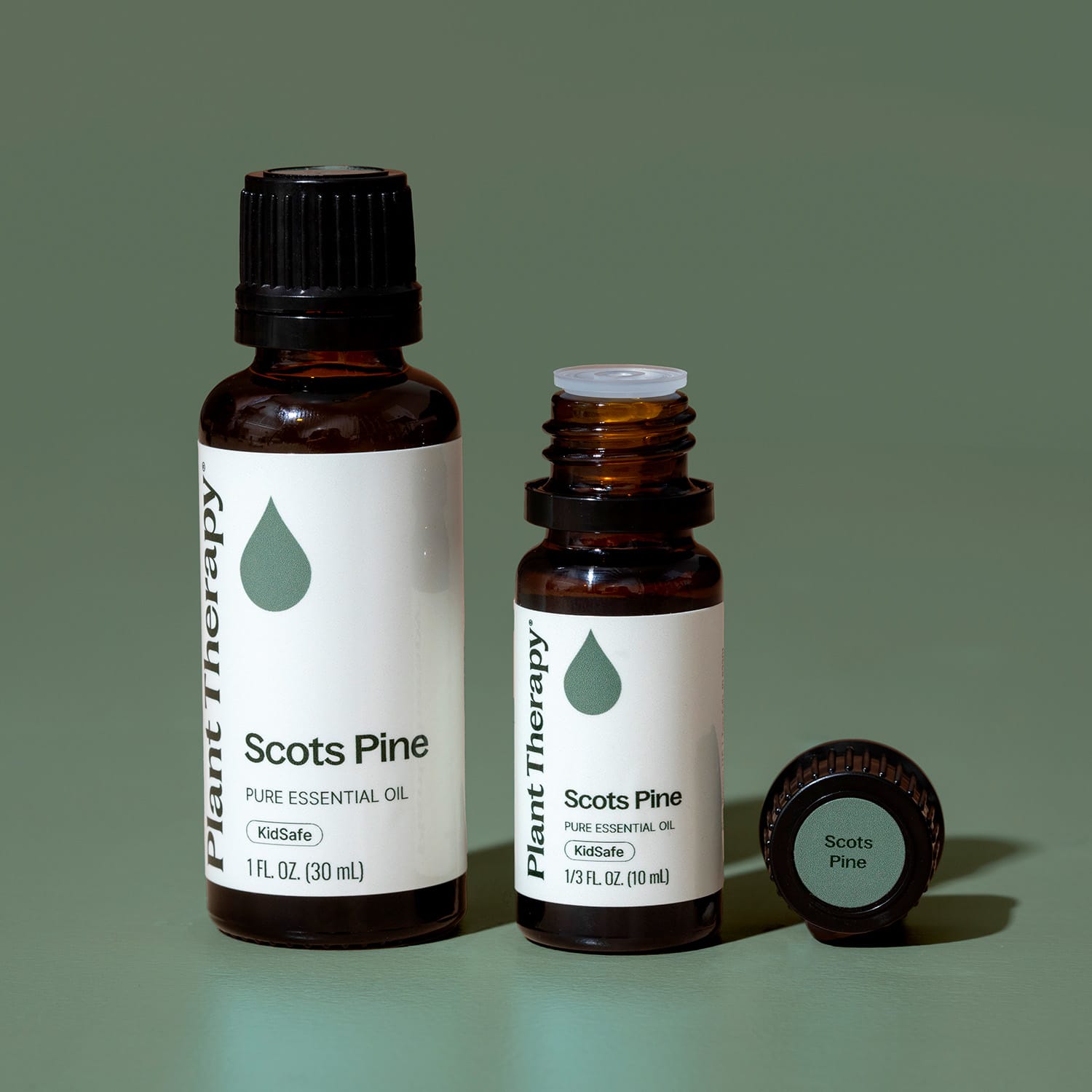 Scots Pine Essential Oil Plant Therapy