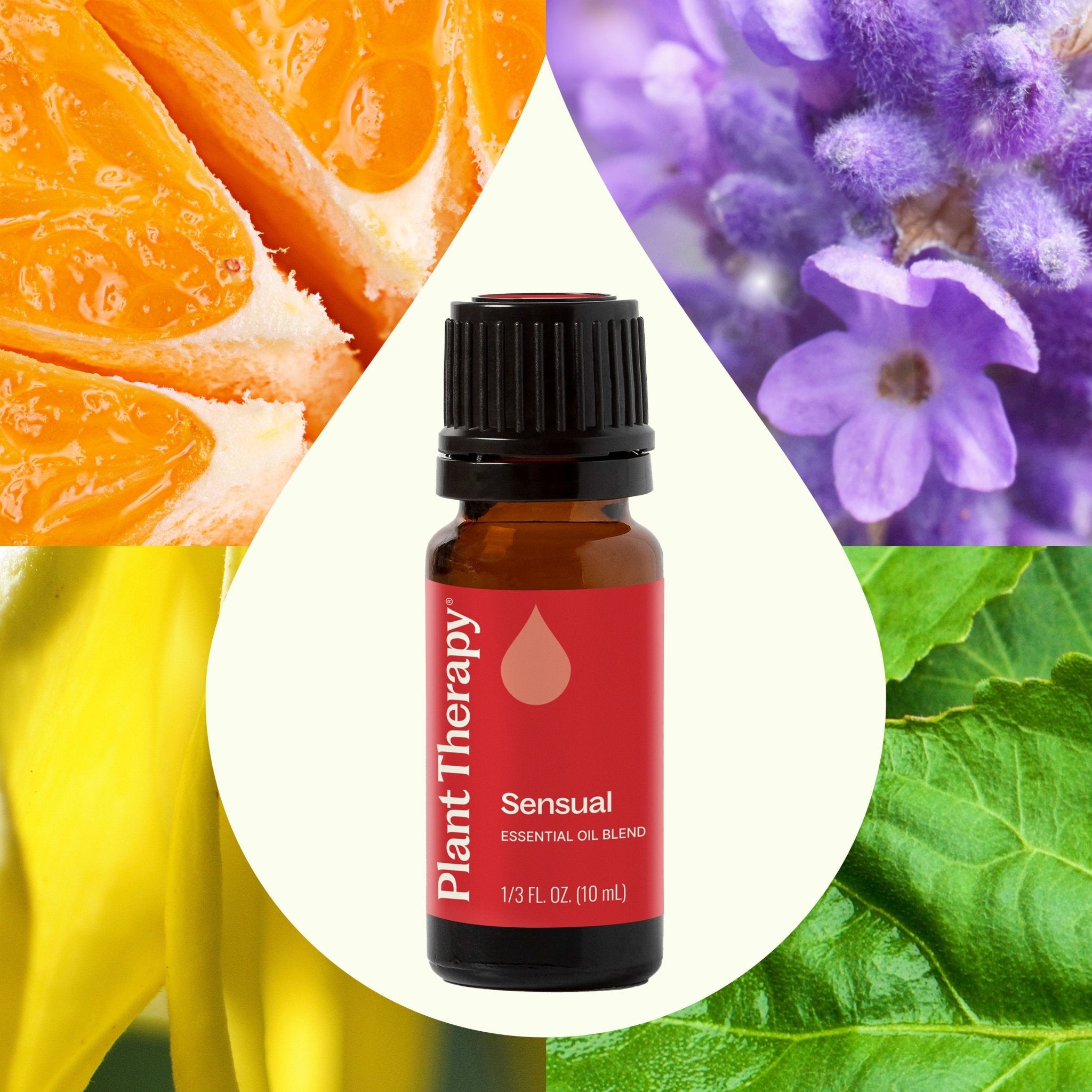 Sensual Essential Oil Blend Plant Therapy