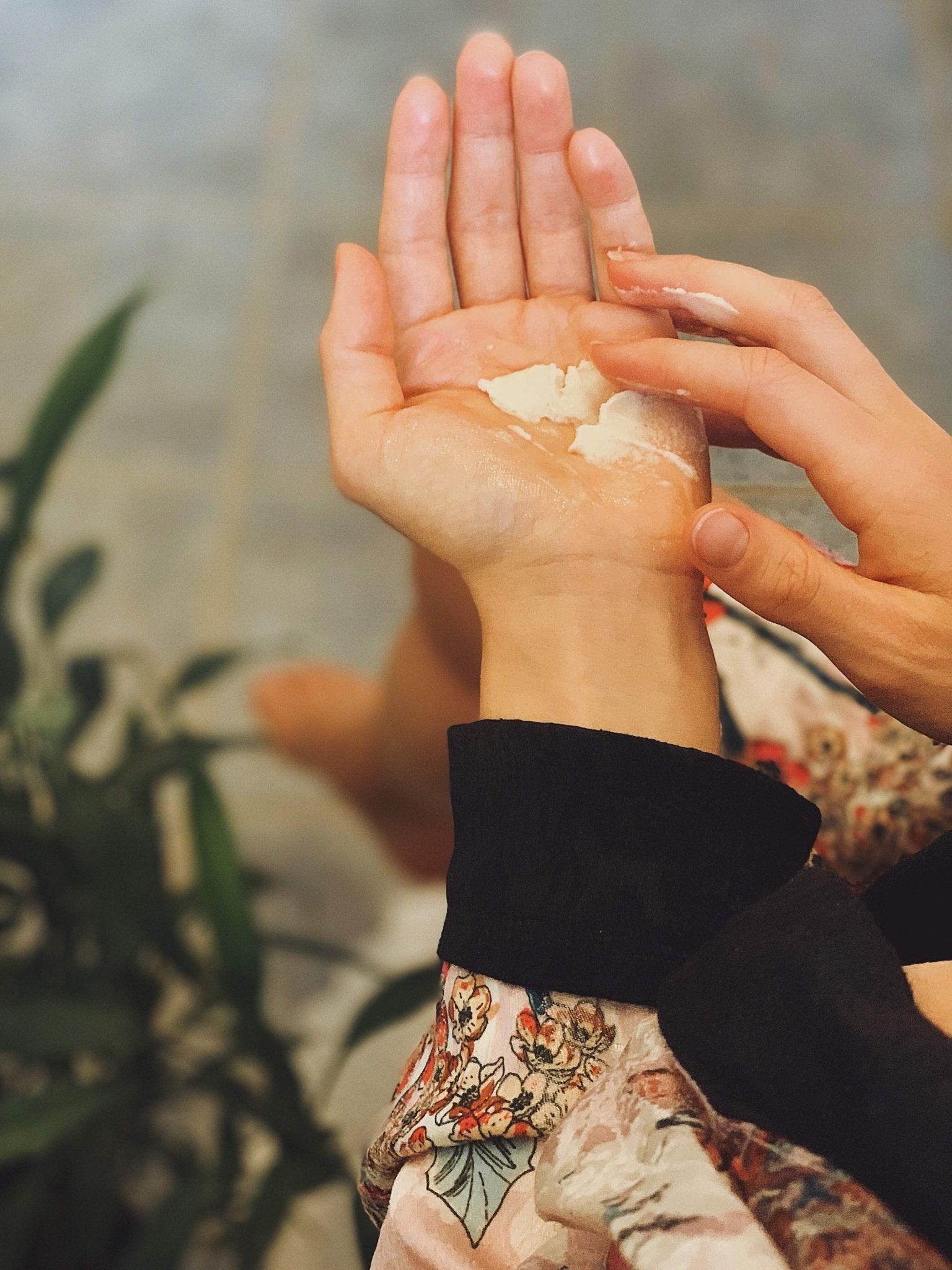 Shea Butter (Wildcrafted) Sun Potion