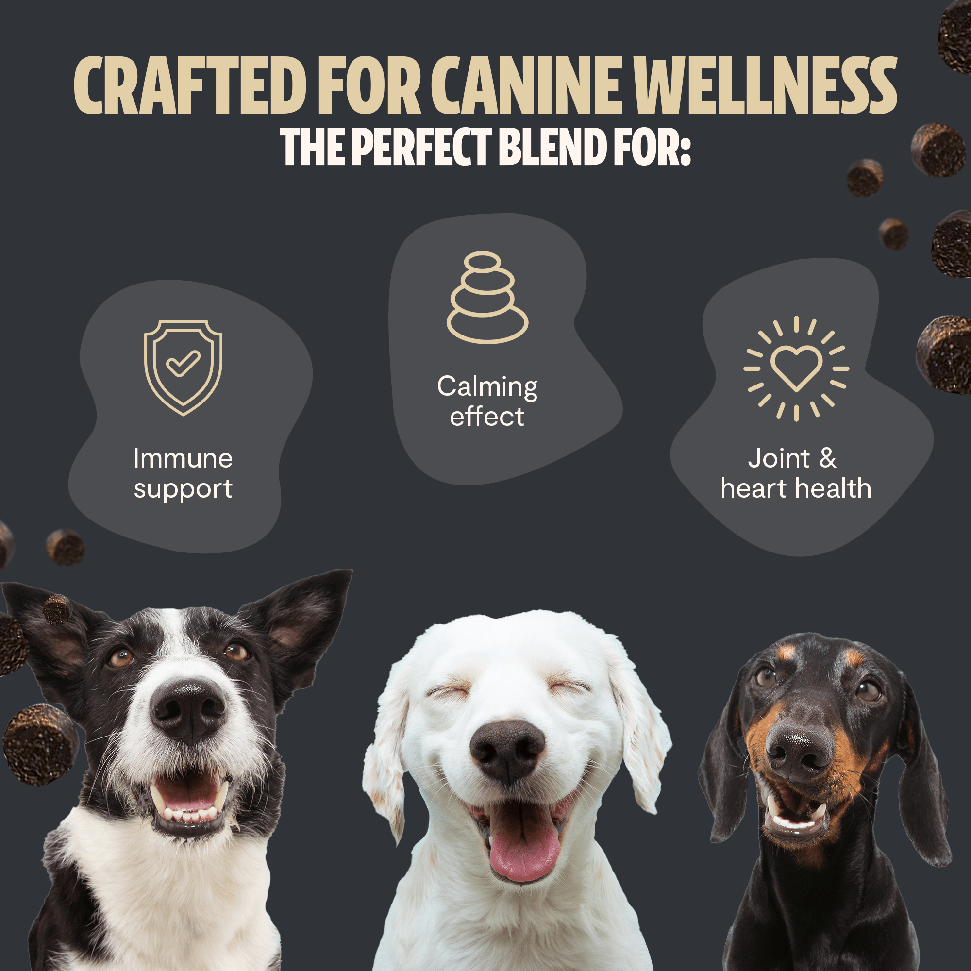 Shroomies® - Mushrooms For Dogs FreshCap Mushrooms