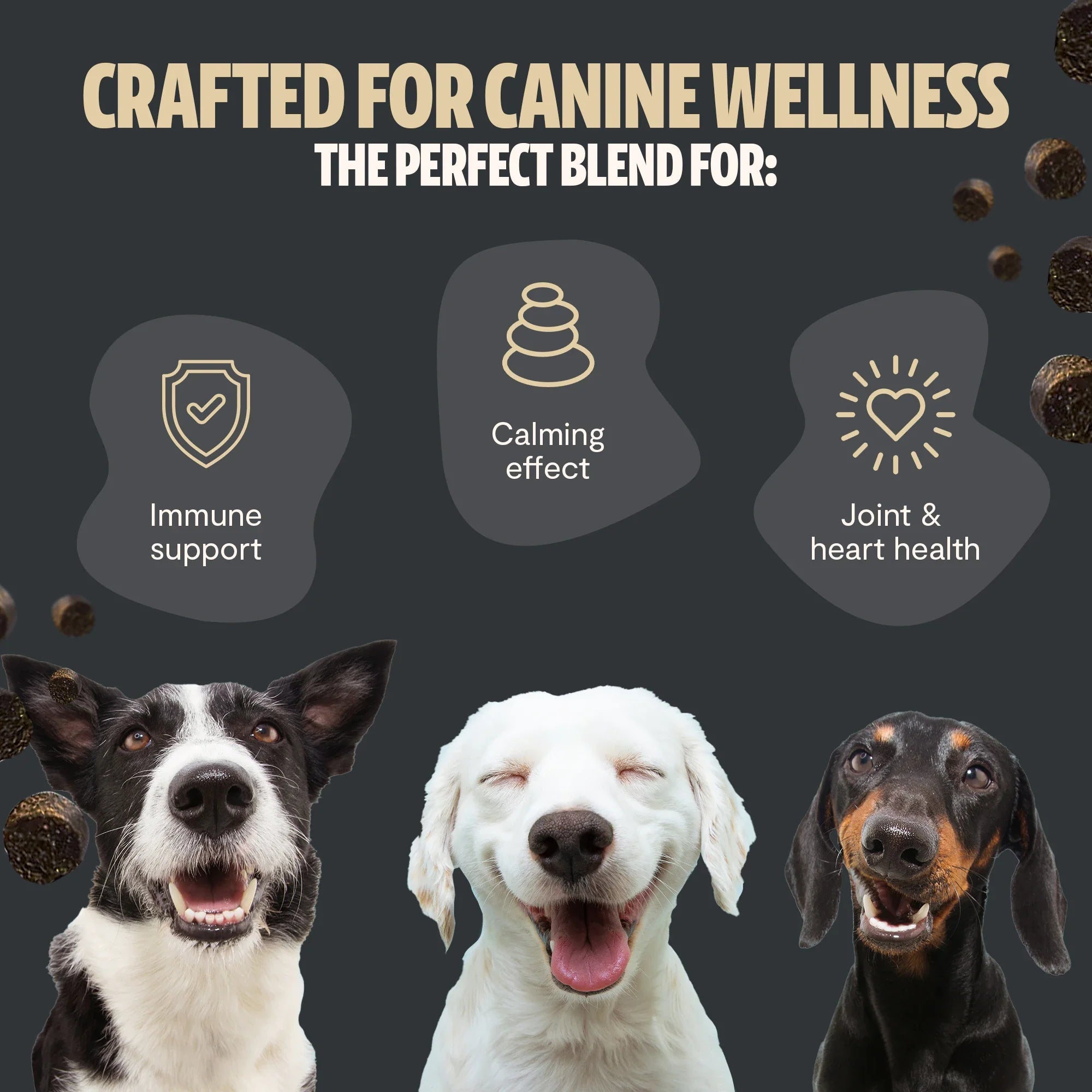 Shroomies® - Mushrooms For Dogs FreshCap Mushrooms