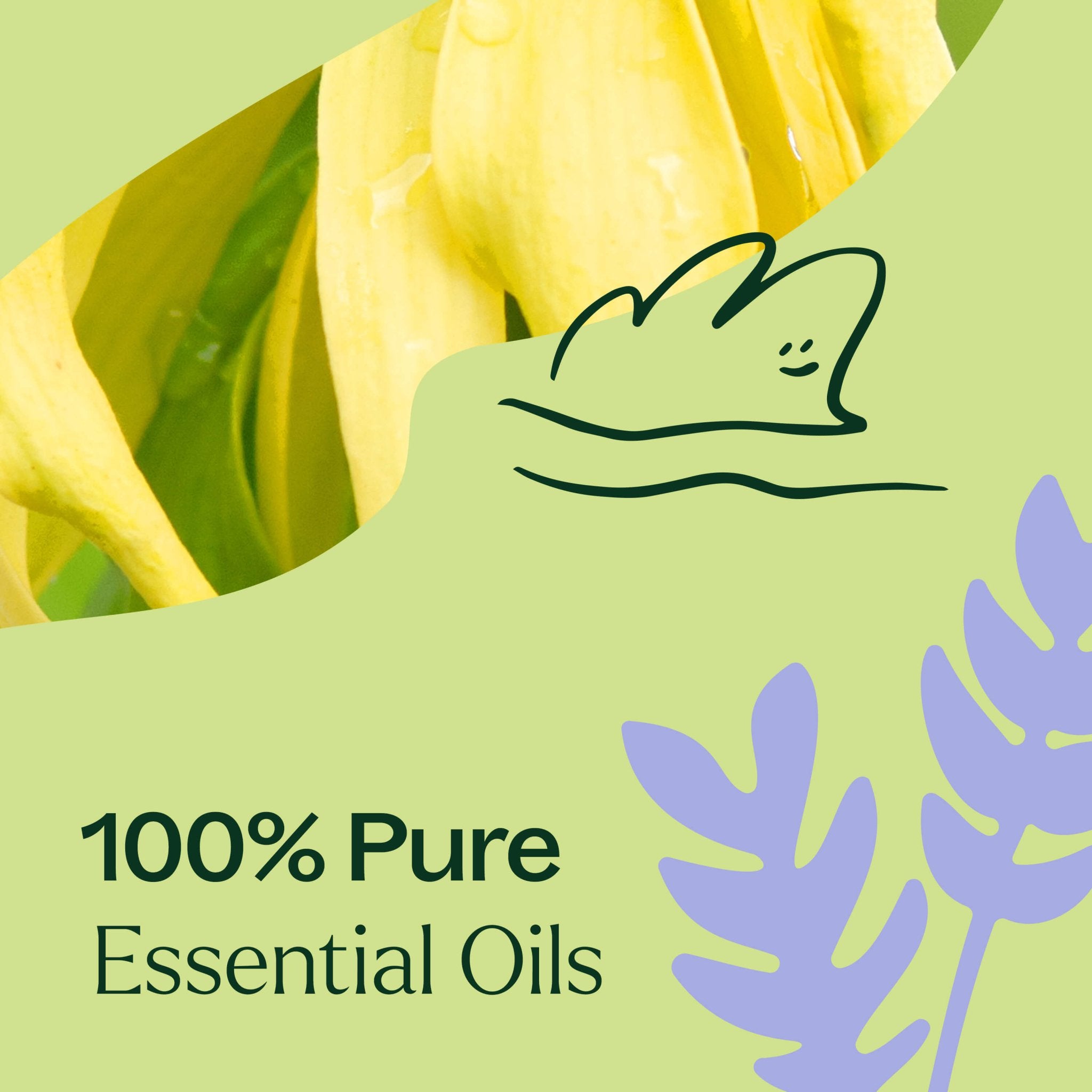 Sleep Aid Essential Oil Blend Plant Therapy
