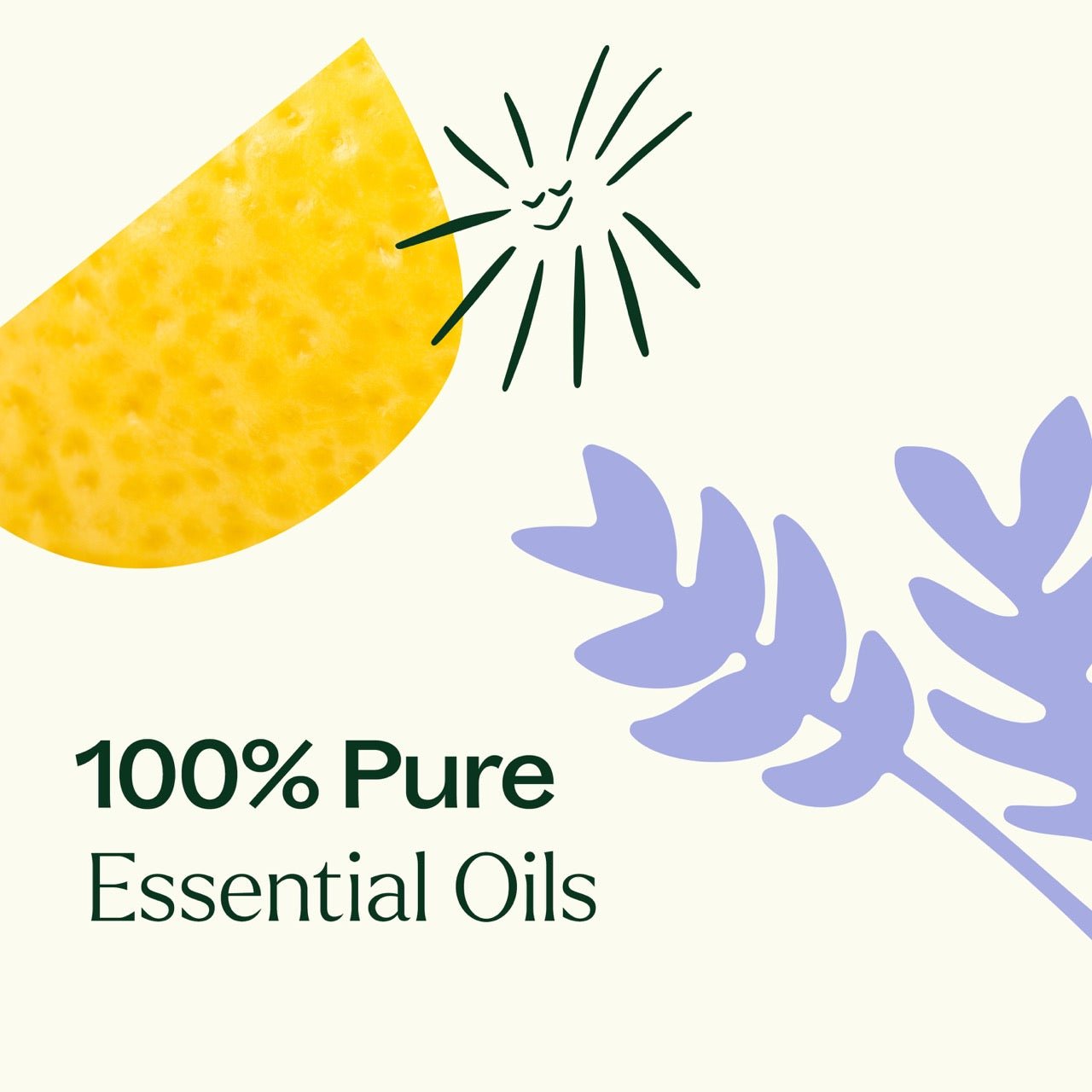Sleep Easy Essential Oil Blend Set Plant Therapy