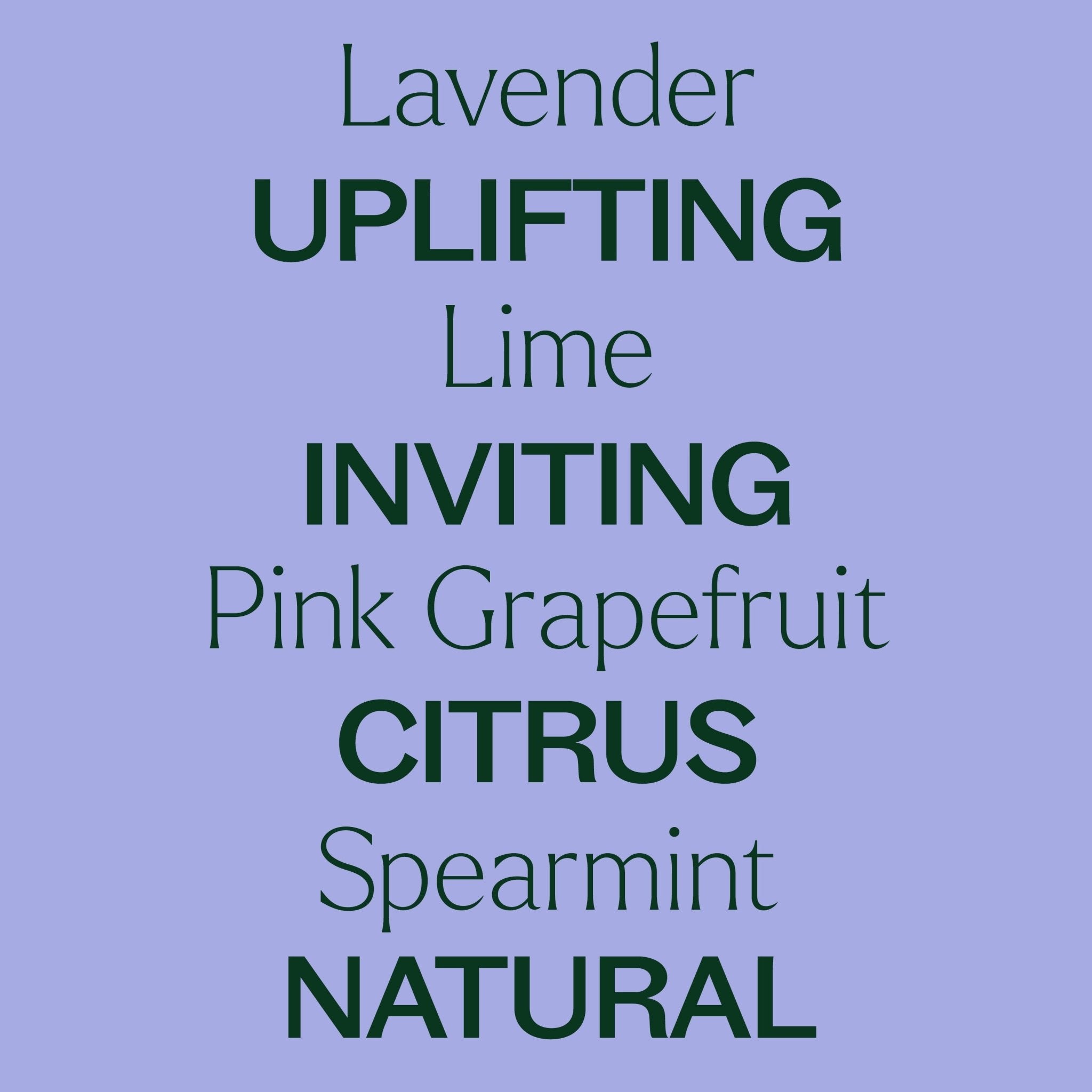 Sparkling Lavender Laundry Essential Oil Blend Plant Therapy
