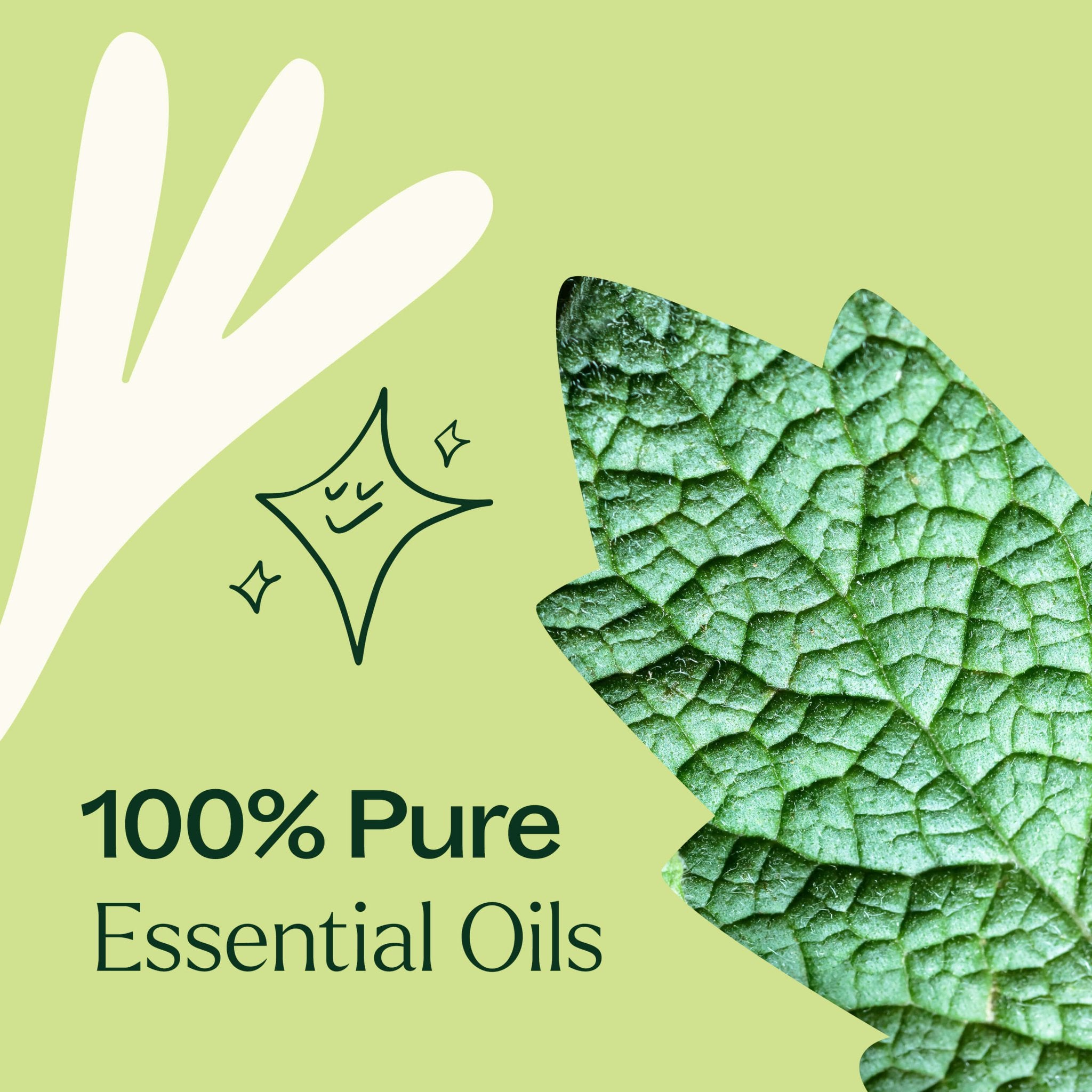Sparkling Peppermint Laundry Essential Oil Blend Plant Therapy