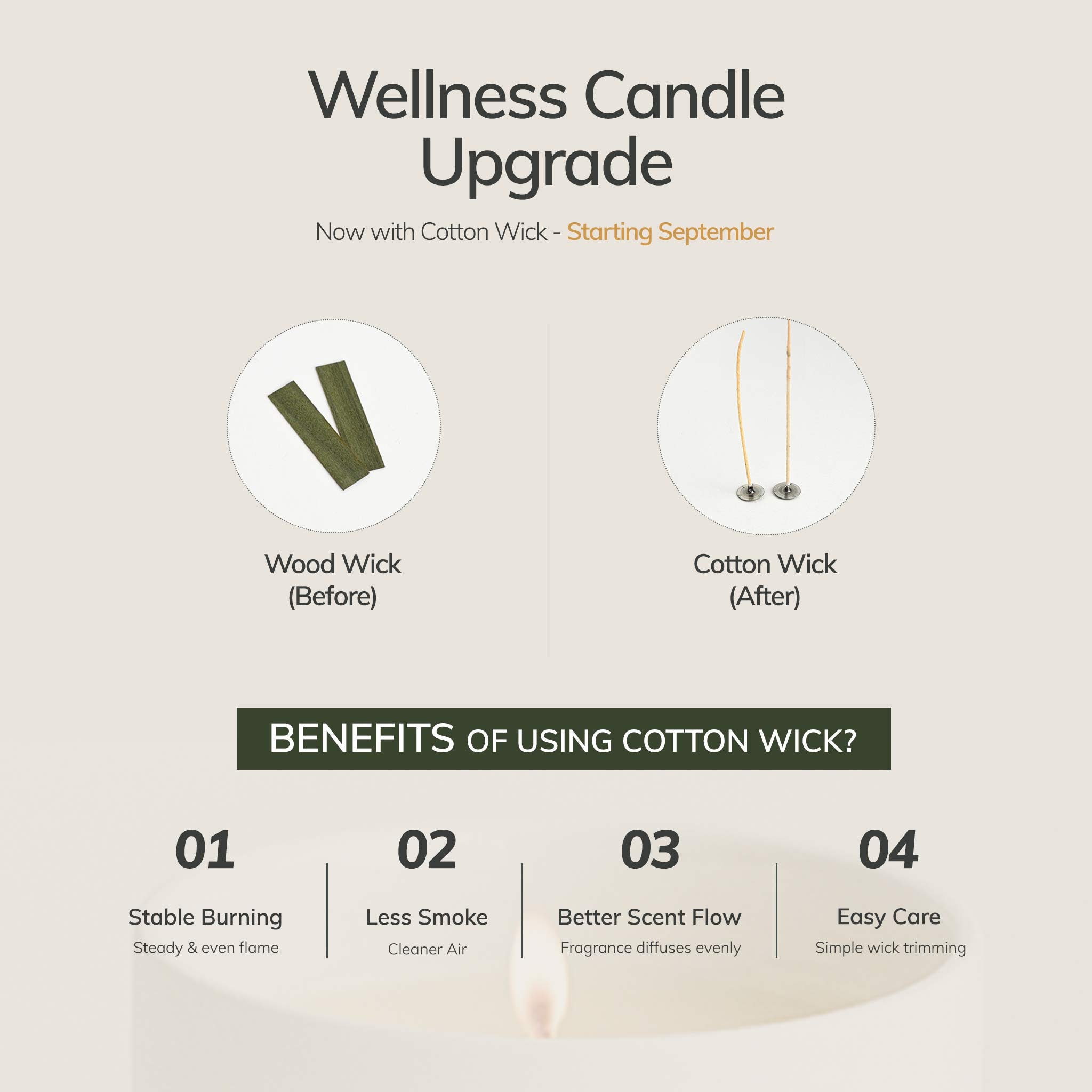 Spiritual Wellness Candle CEDAR AND MYRRH