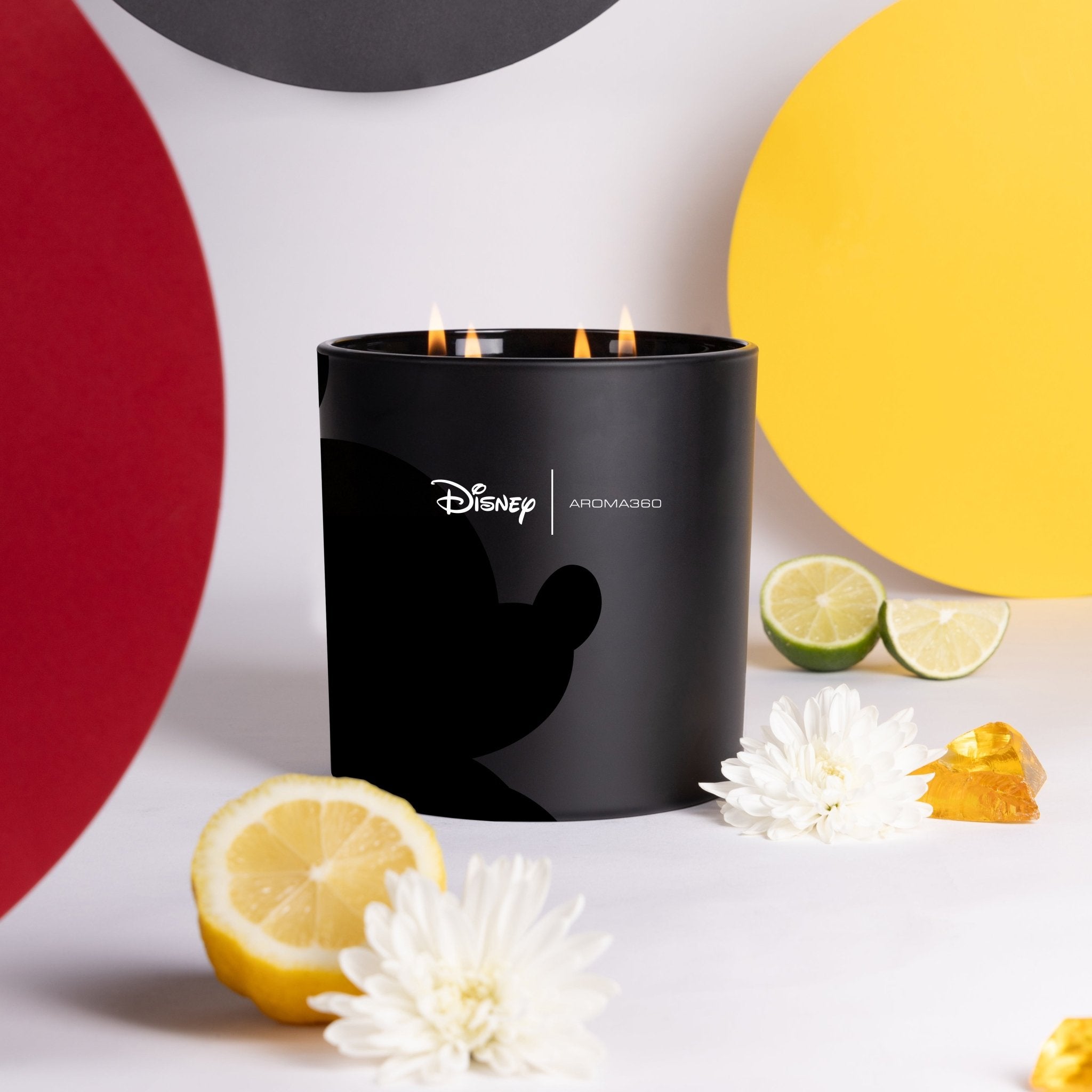 Started With A Mouse 4 - Wick Candle Aroma360