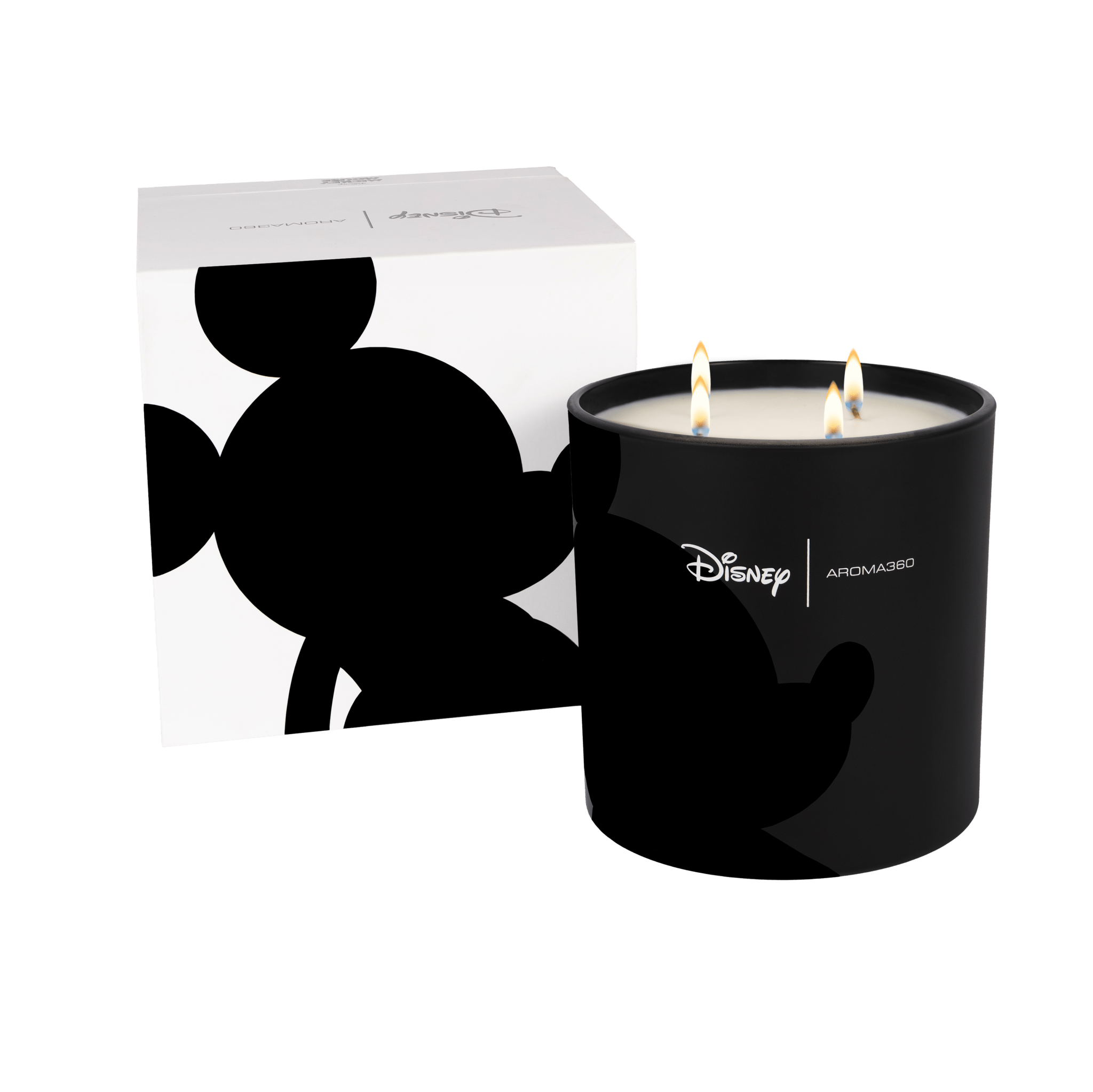 Started With A Mouse 4 - Wick Candle Aroma360