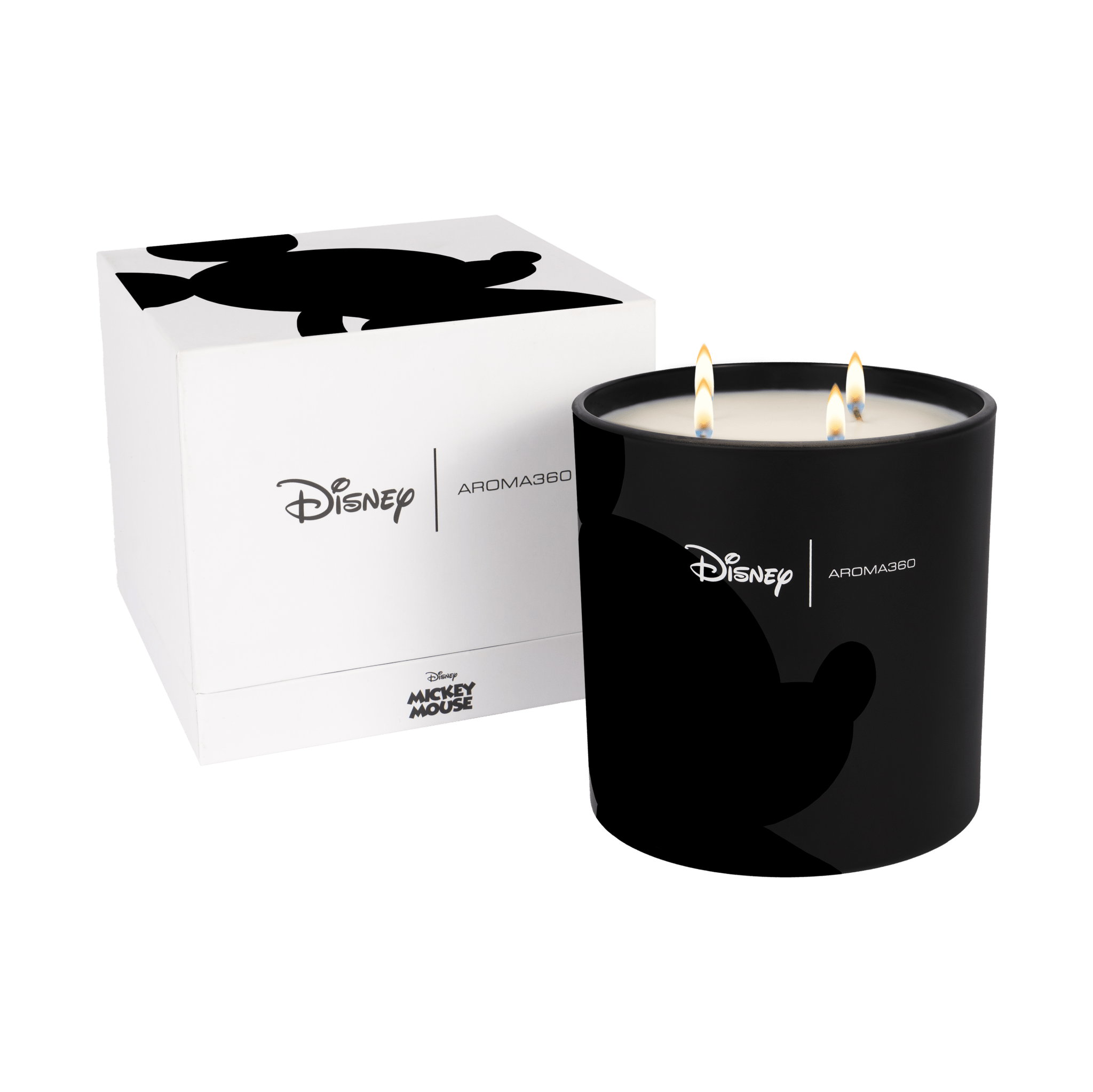Started With A Mouse 4 - Wick Candle Aroma360