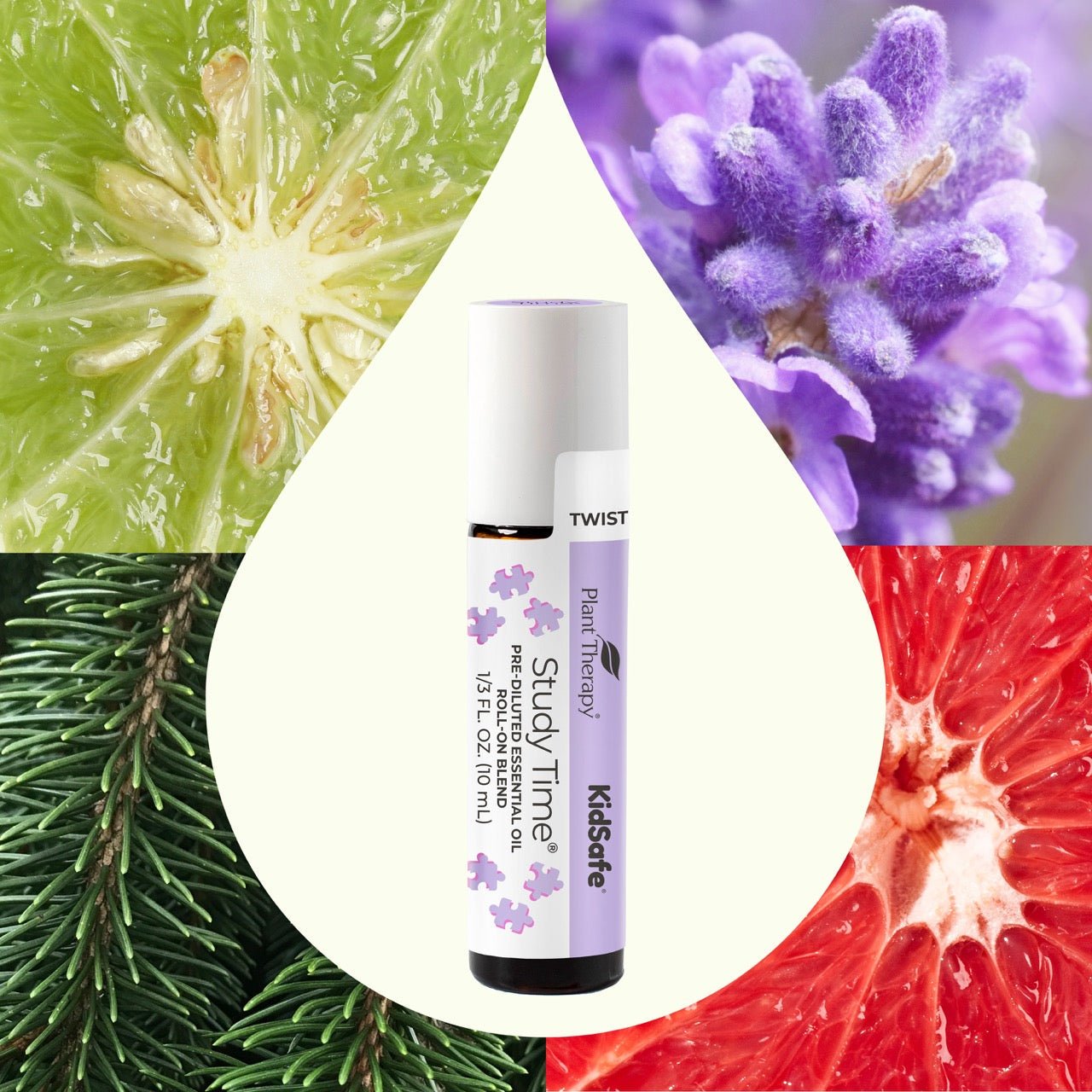 Study Time KidSafe Essential Oil Pre - Diluted Roll - On Plant Therapy