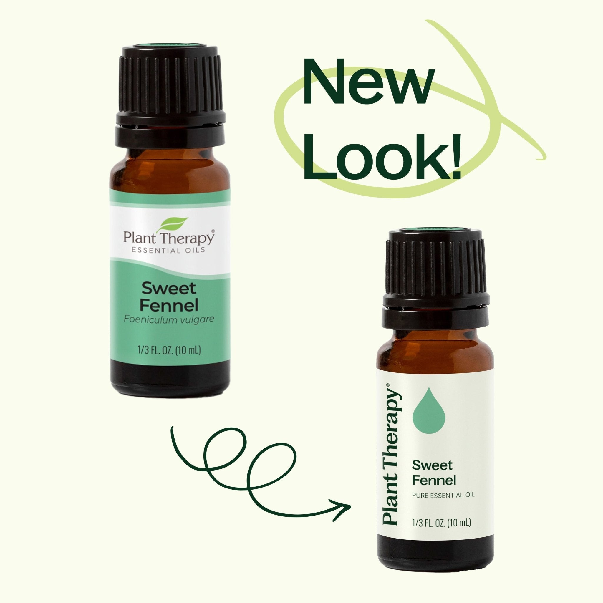 Sweet Fennel Essential Oil Plant Therapy