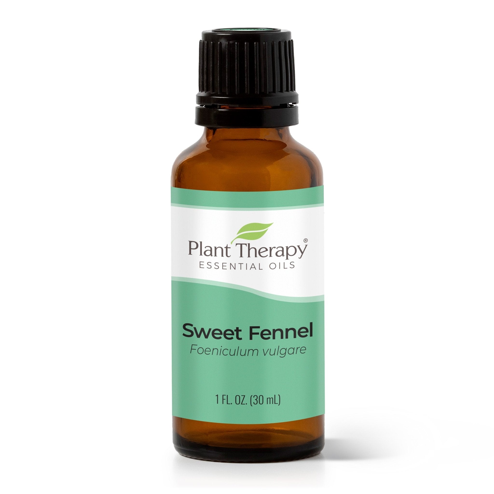 Sweet Fennel Essential Oil Plant Therapy