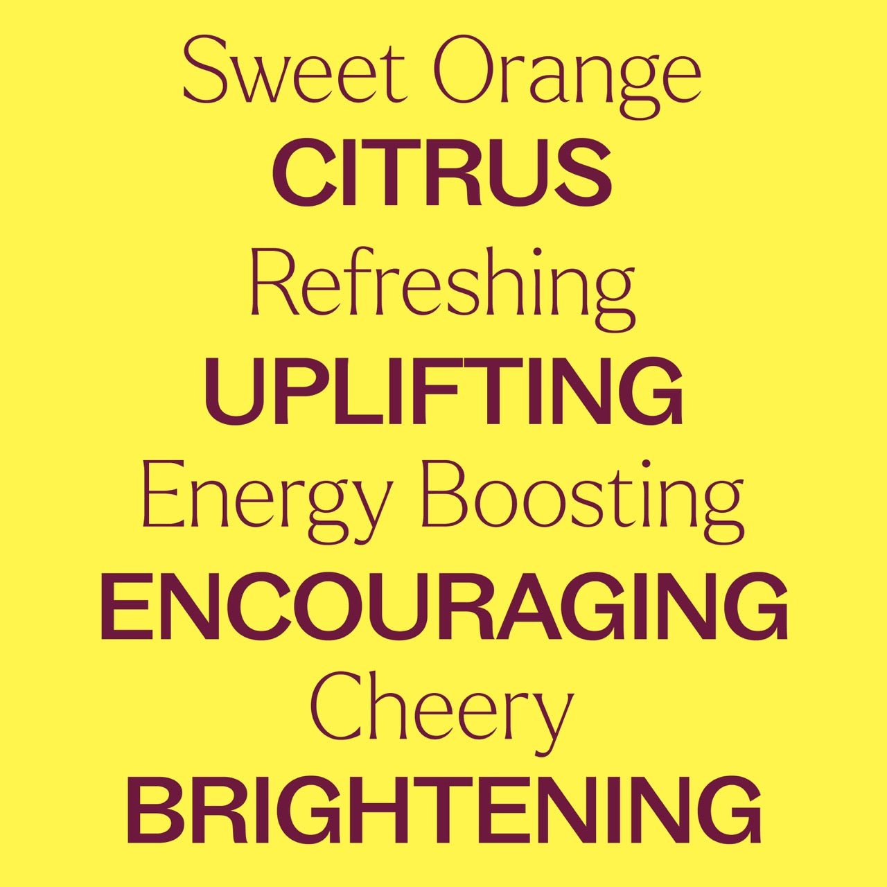 Sweet Orange Essential Oil Plant Therapy