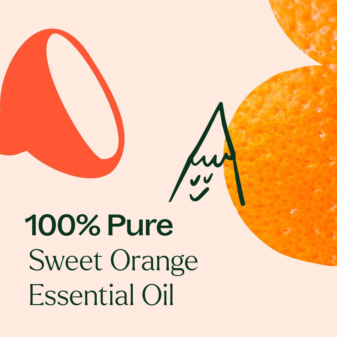 Sweet Orange Essential Oil Plant Therapy
