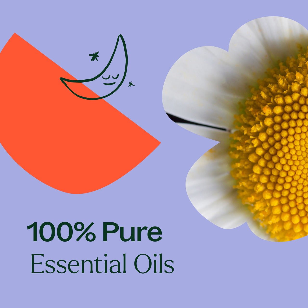 Sweet Slumber KidSafe Essential Oil Plant Therapy