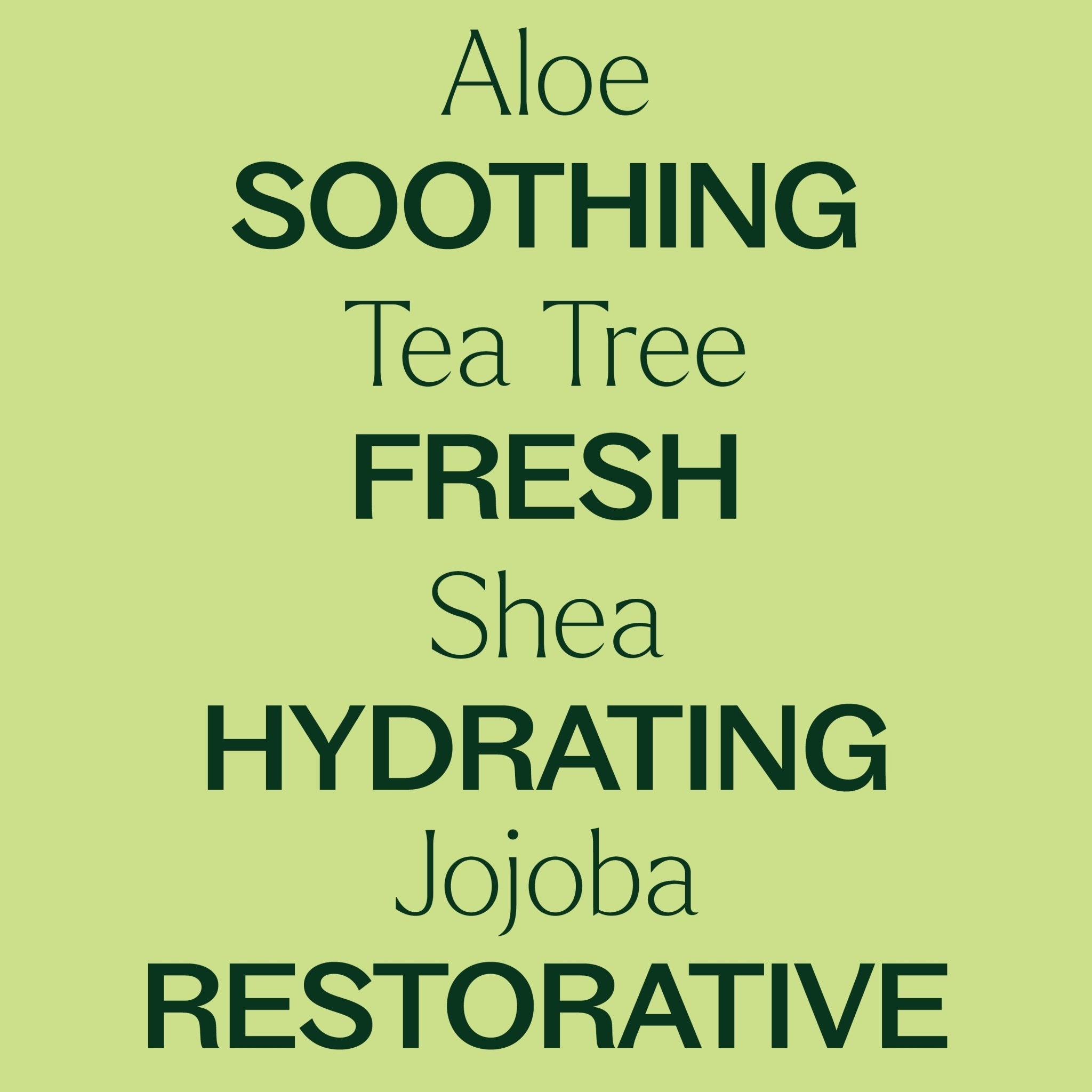 Tea Tree Body Lotion with Aloe and Shea Plant Therapy