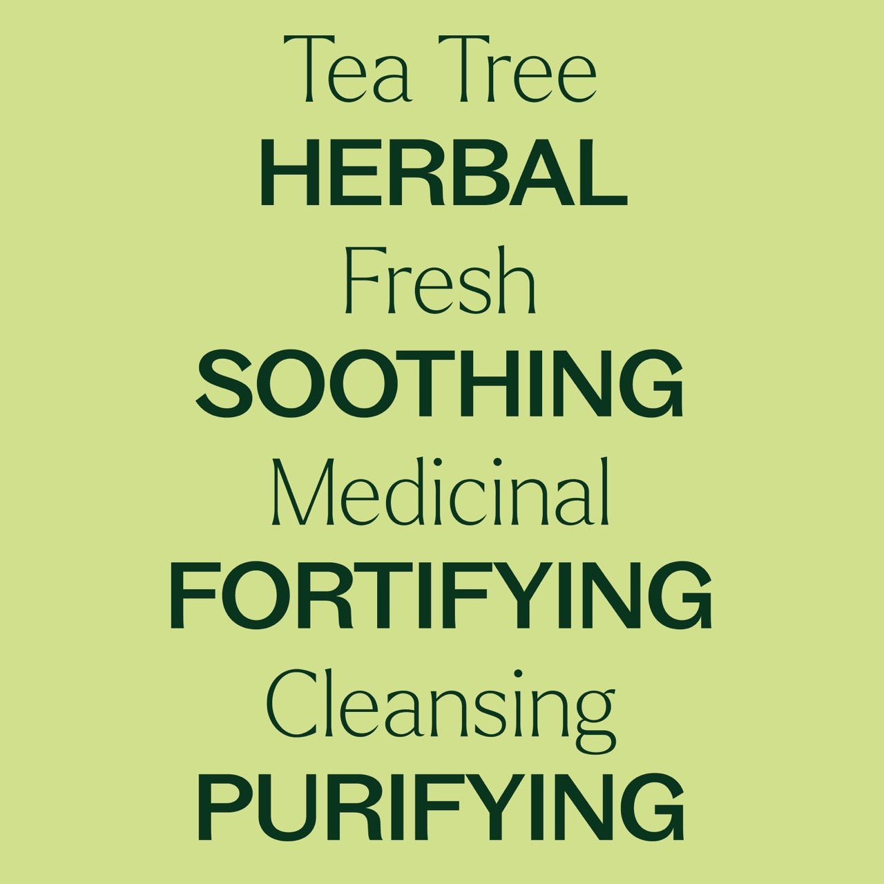 Tea Tree Essential Oil Plant Therapy