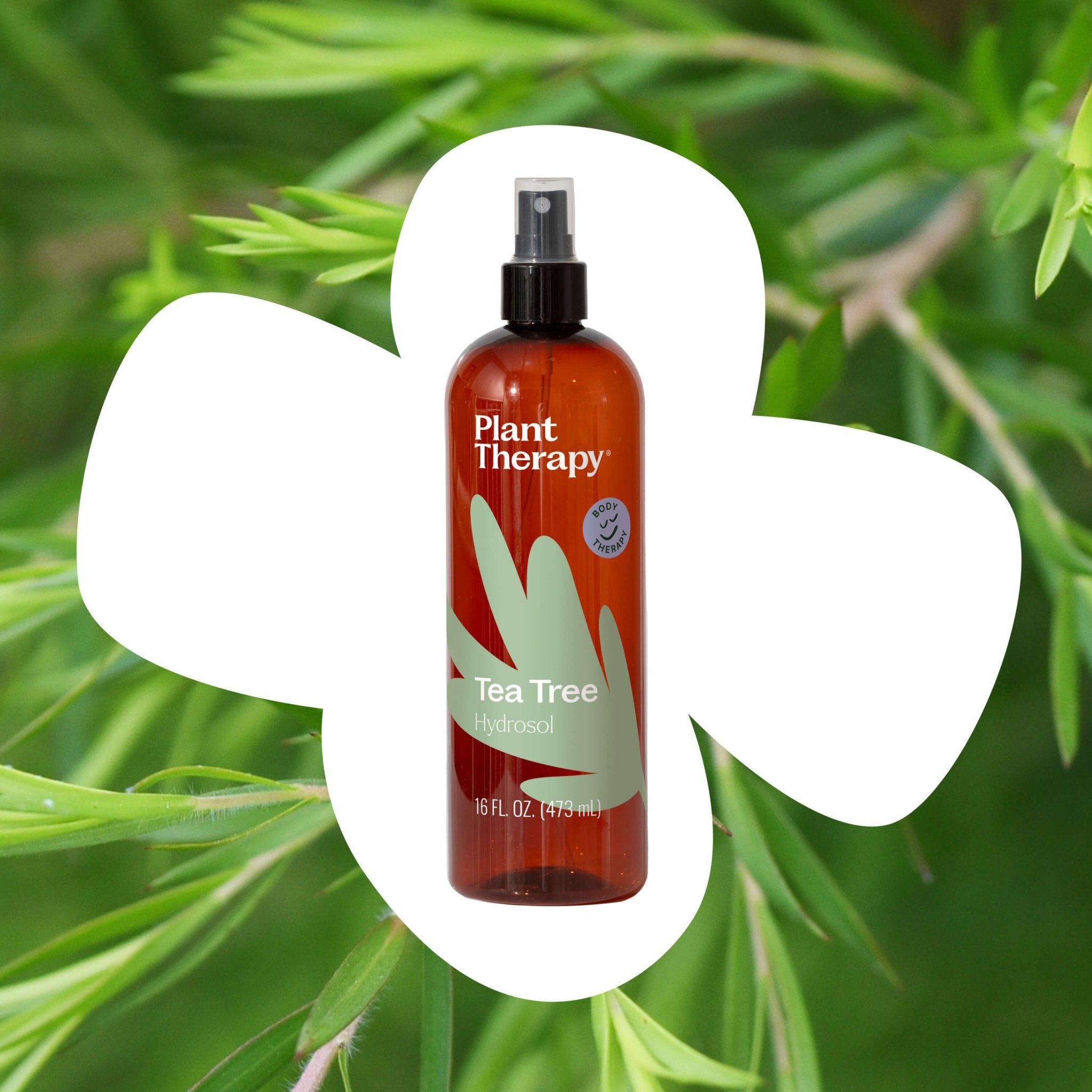 Tea Tree Hydrosol Plant Therapy