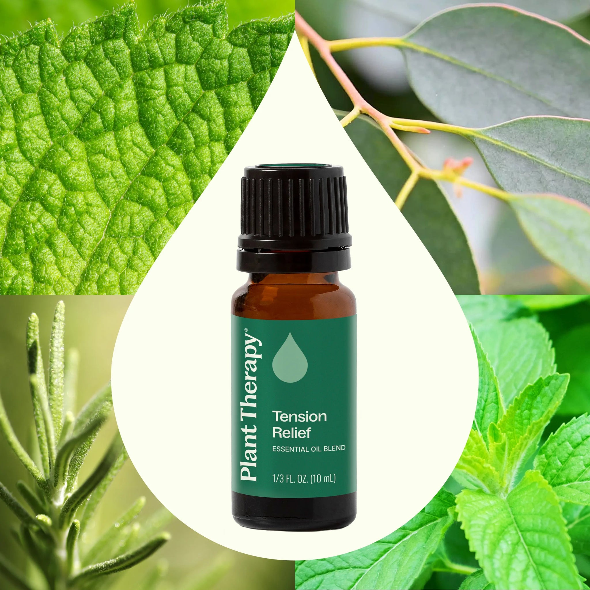 Tension Relief Essential Oil Blend Plant Therapy