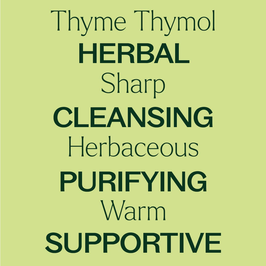 Thyme Thymol Essential Oil Plant Therapy