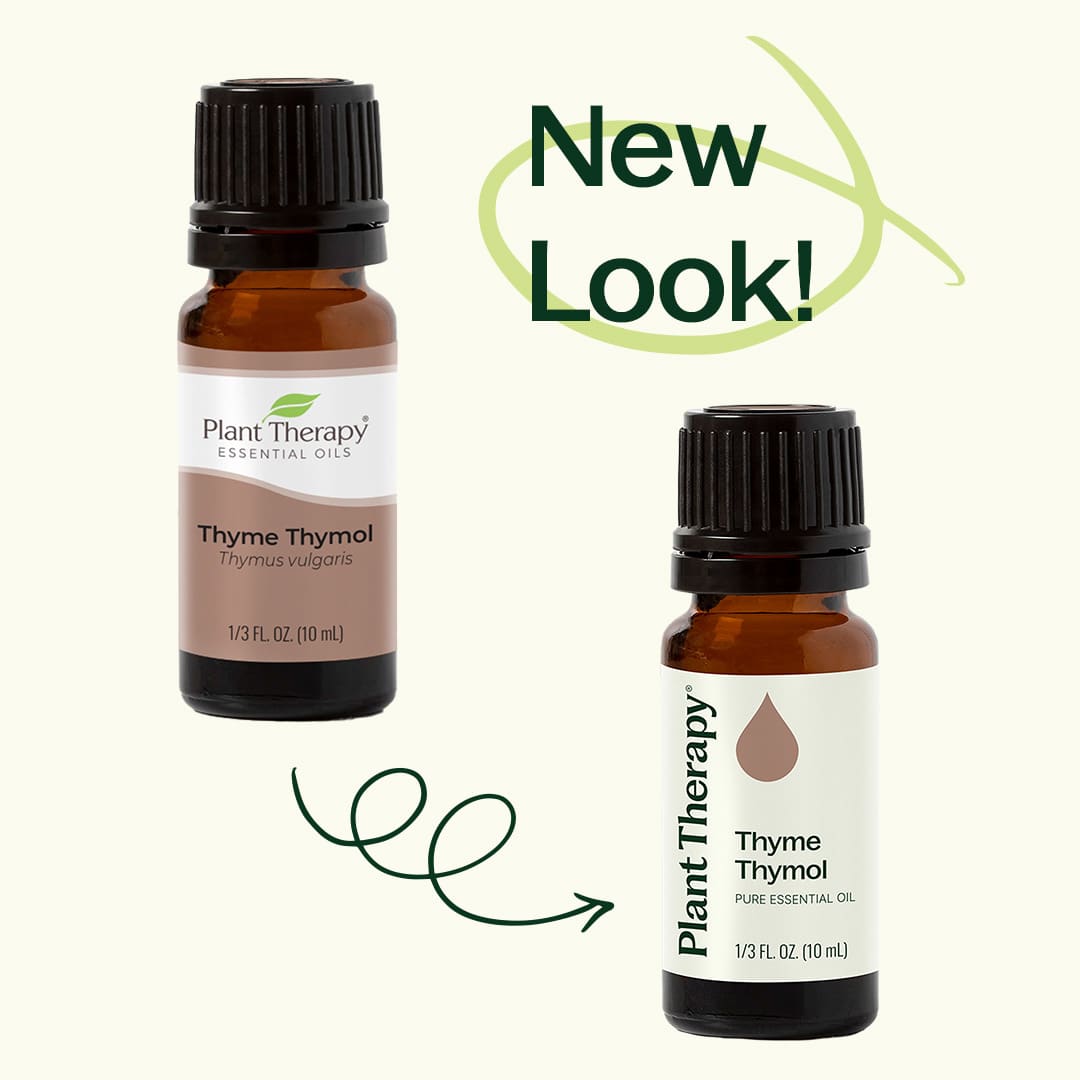 Thyme Thymol Essential Oil Plant Therapy
