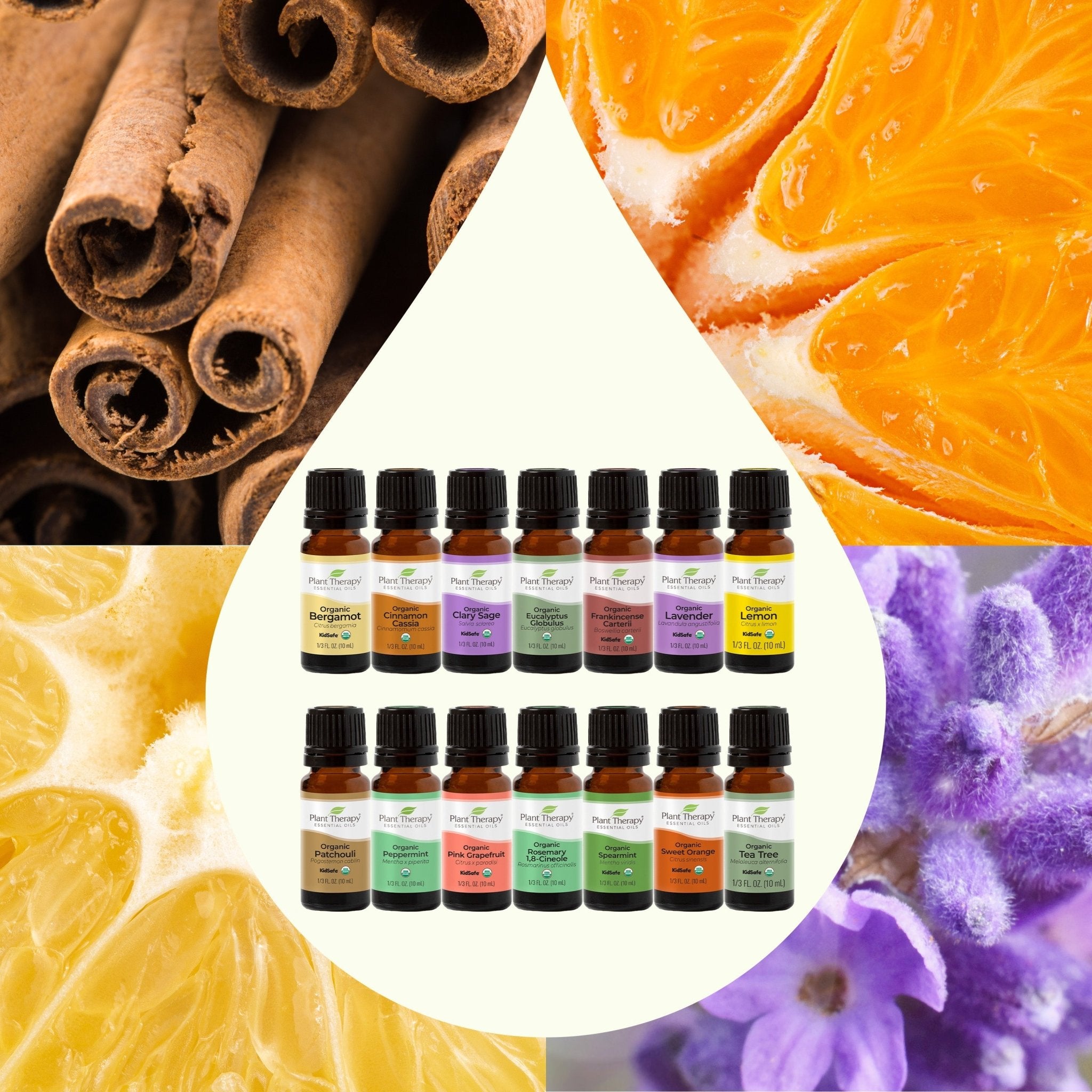 Top 14 Organic Singles Set Plant Therapy