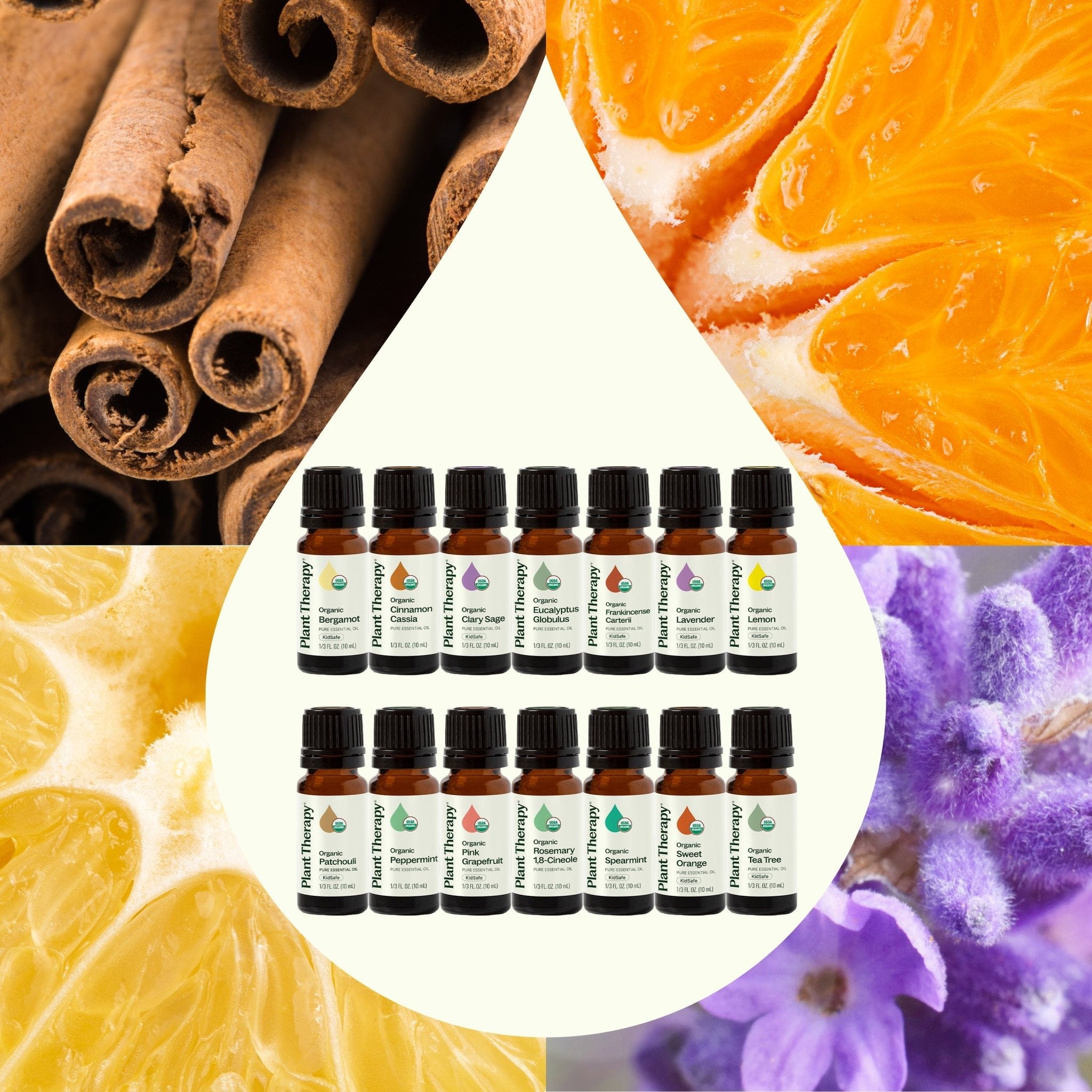 Top 14 Organic Singles Set Plant Therapy