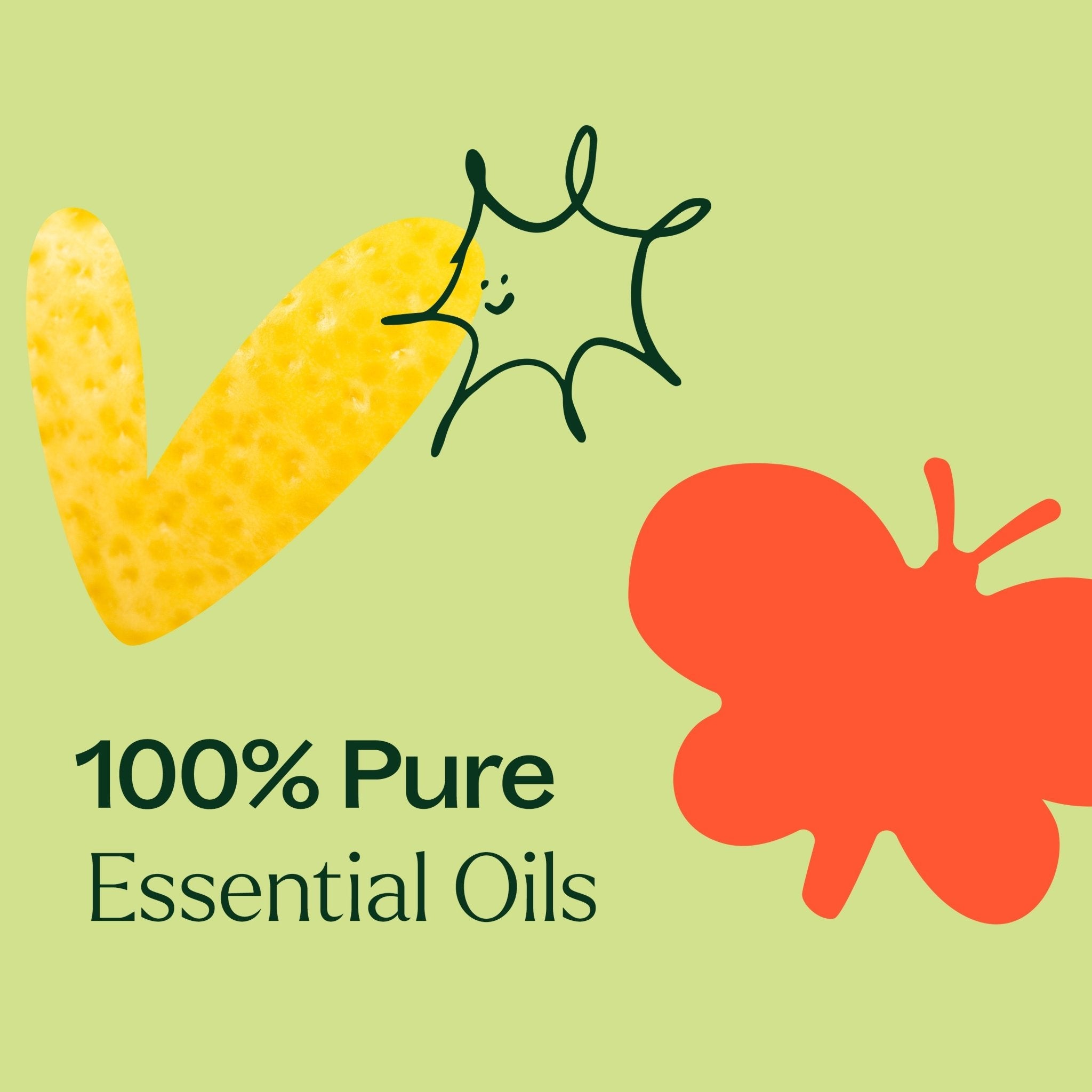 Top 14 Organic Singles Set Plant Therapy