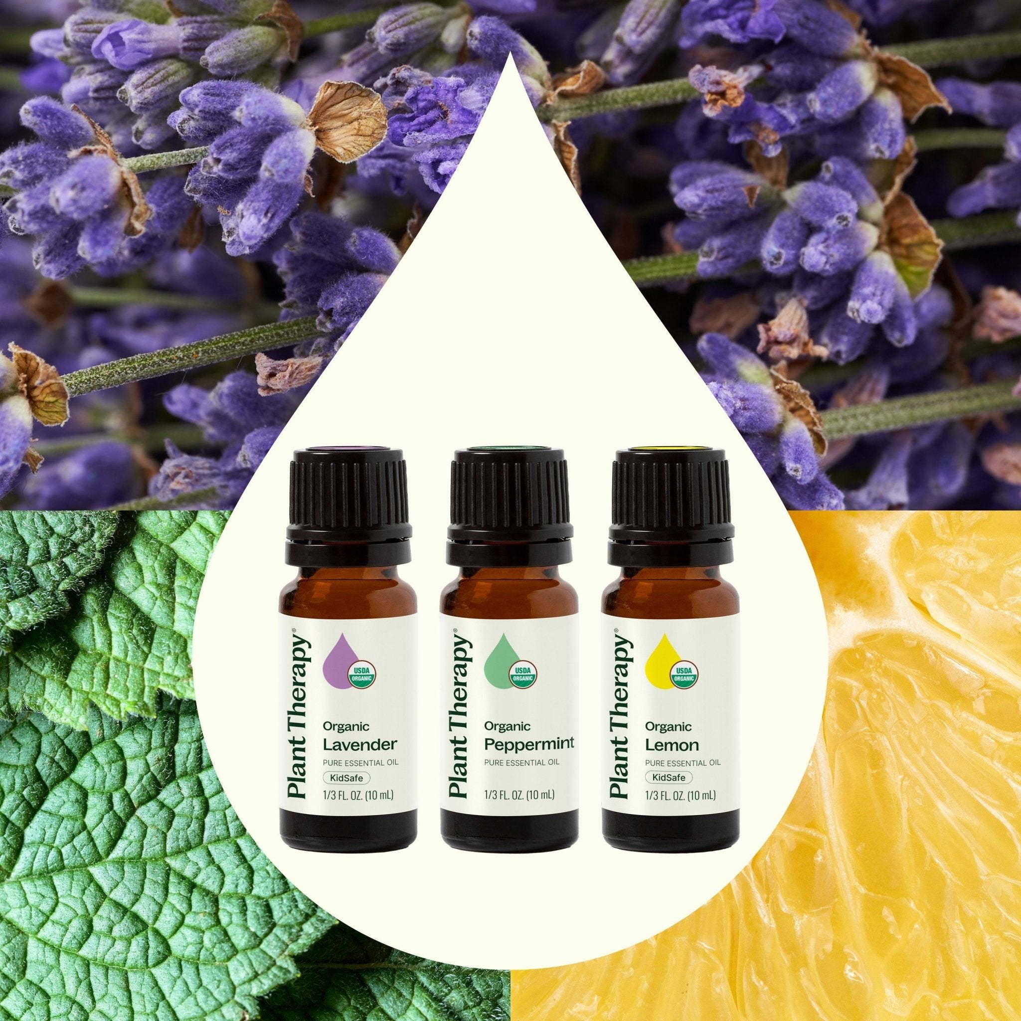 Top 3 Organic Singles Set Plant Therapy