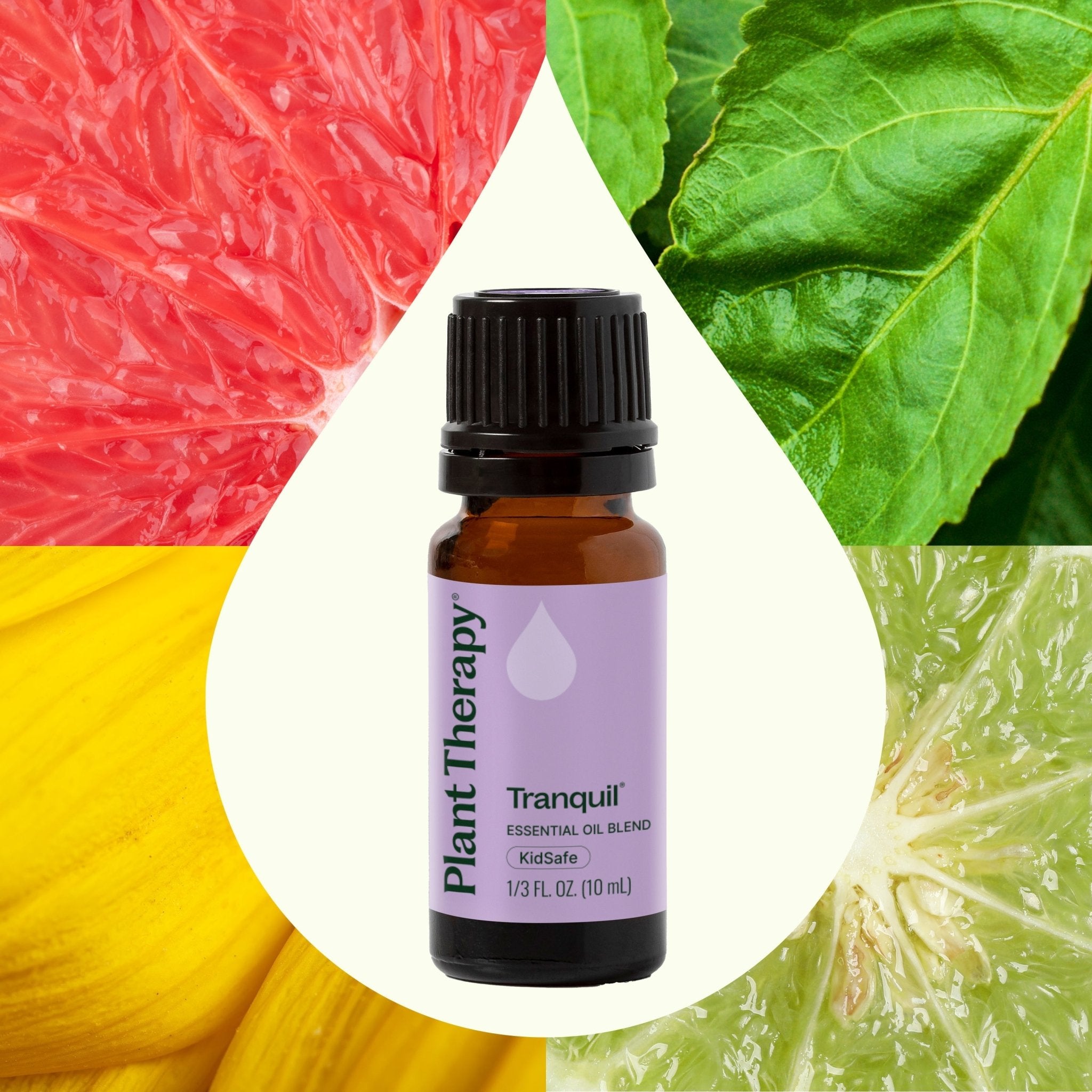 Tranquil ®️ Essential Oil Blend Plant Therapy