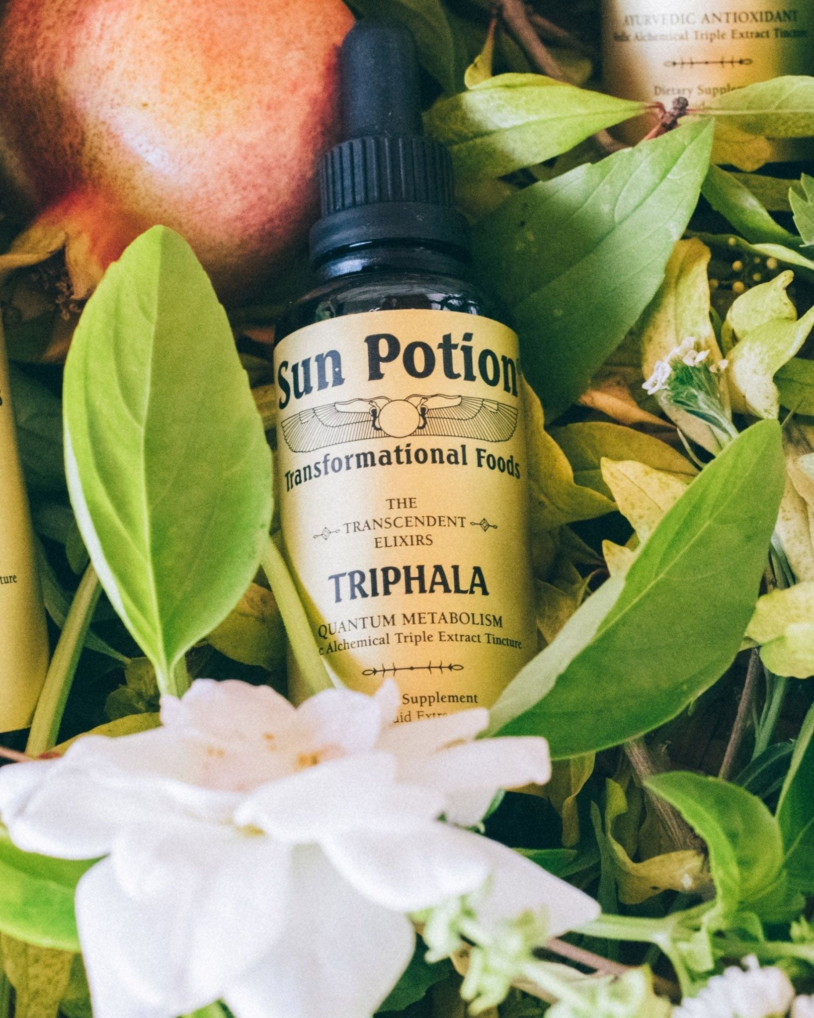 Triphala Transcendent Elixir Sun Potion