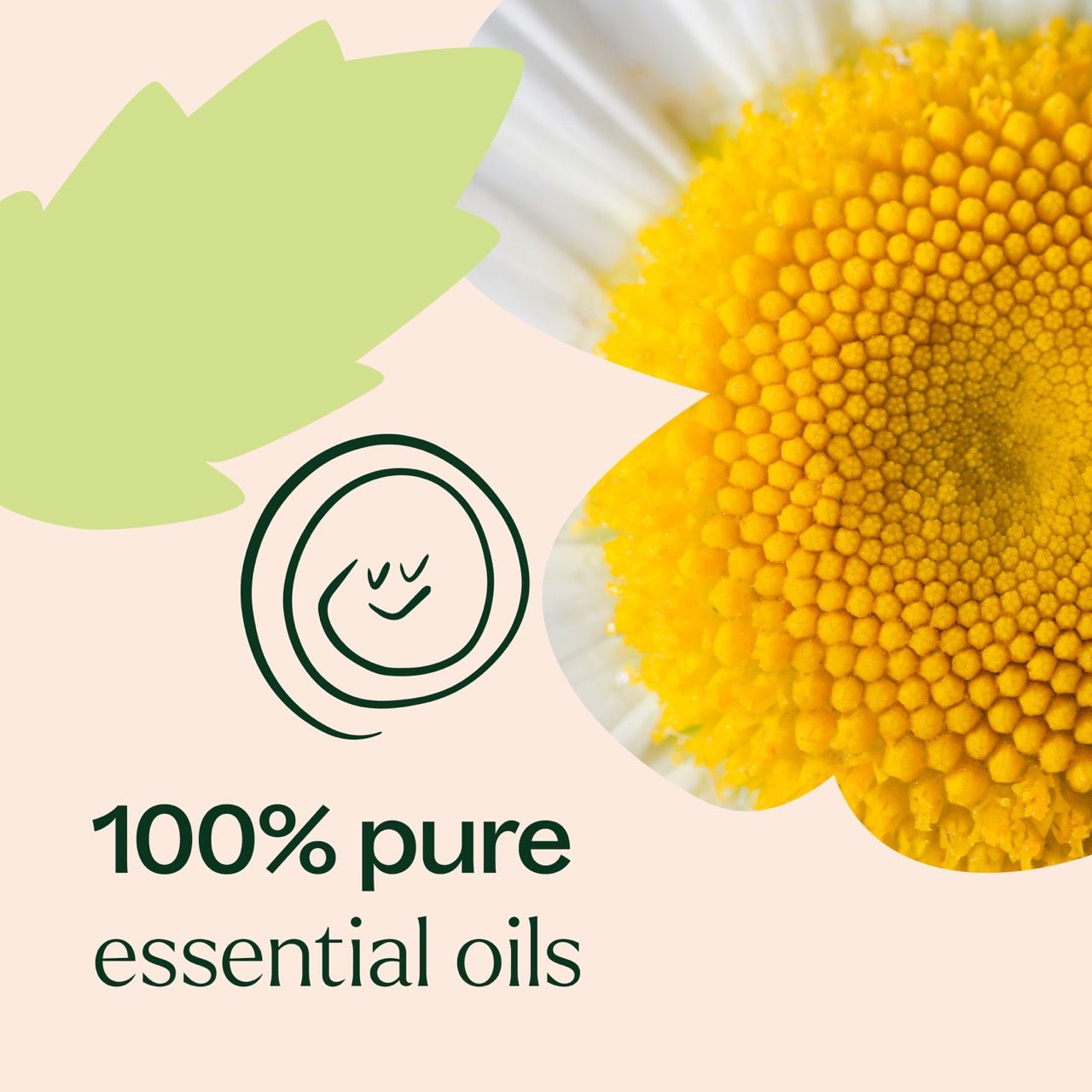Tummy All Better KidSafe Essential Oil Plant Therapy