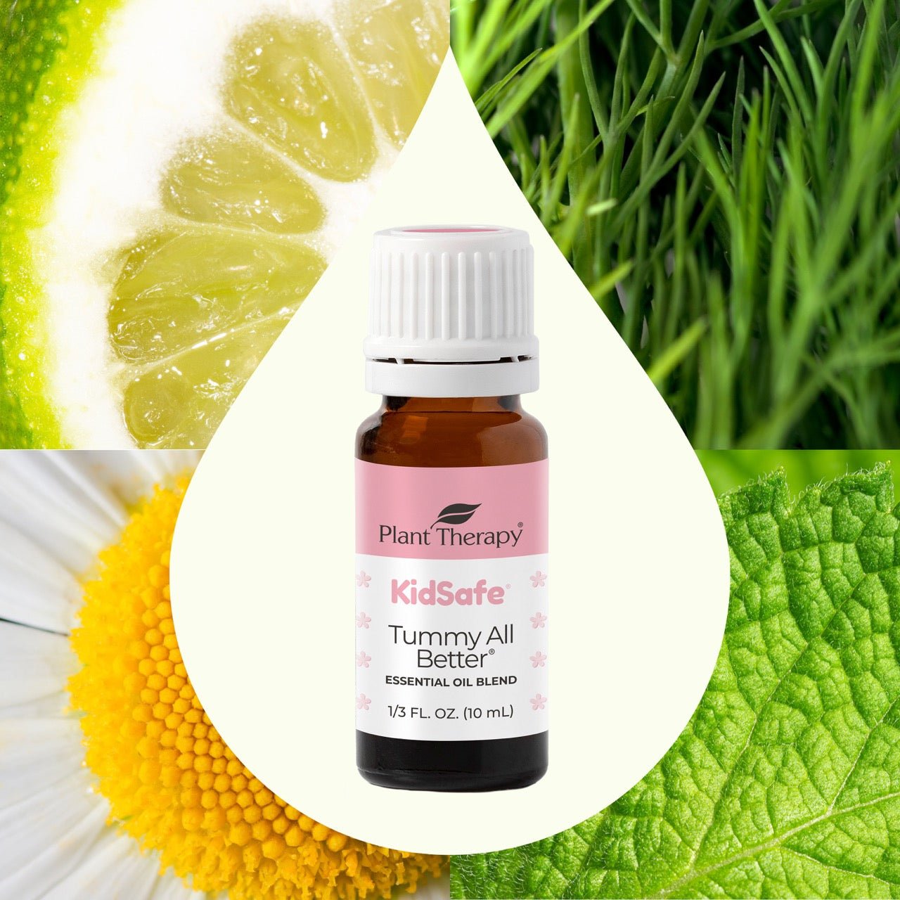 Tummy All Better KidSafe Essential Oil Plant Therapy