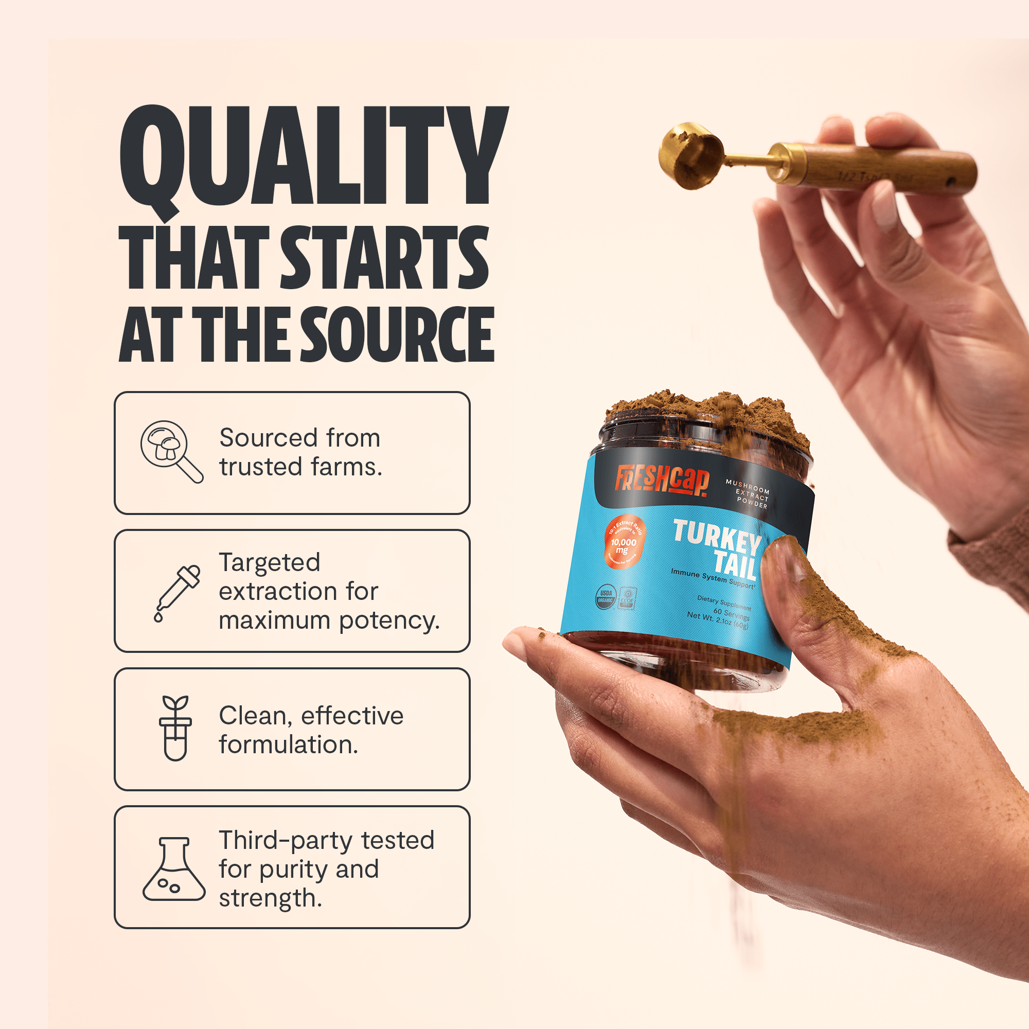 Turkey Tail Mushroom Extract Powder FreshCap Mushrooms