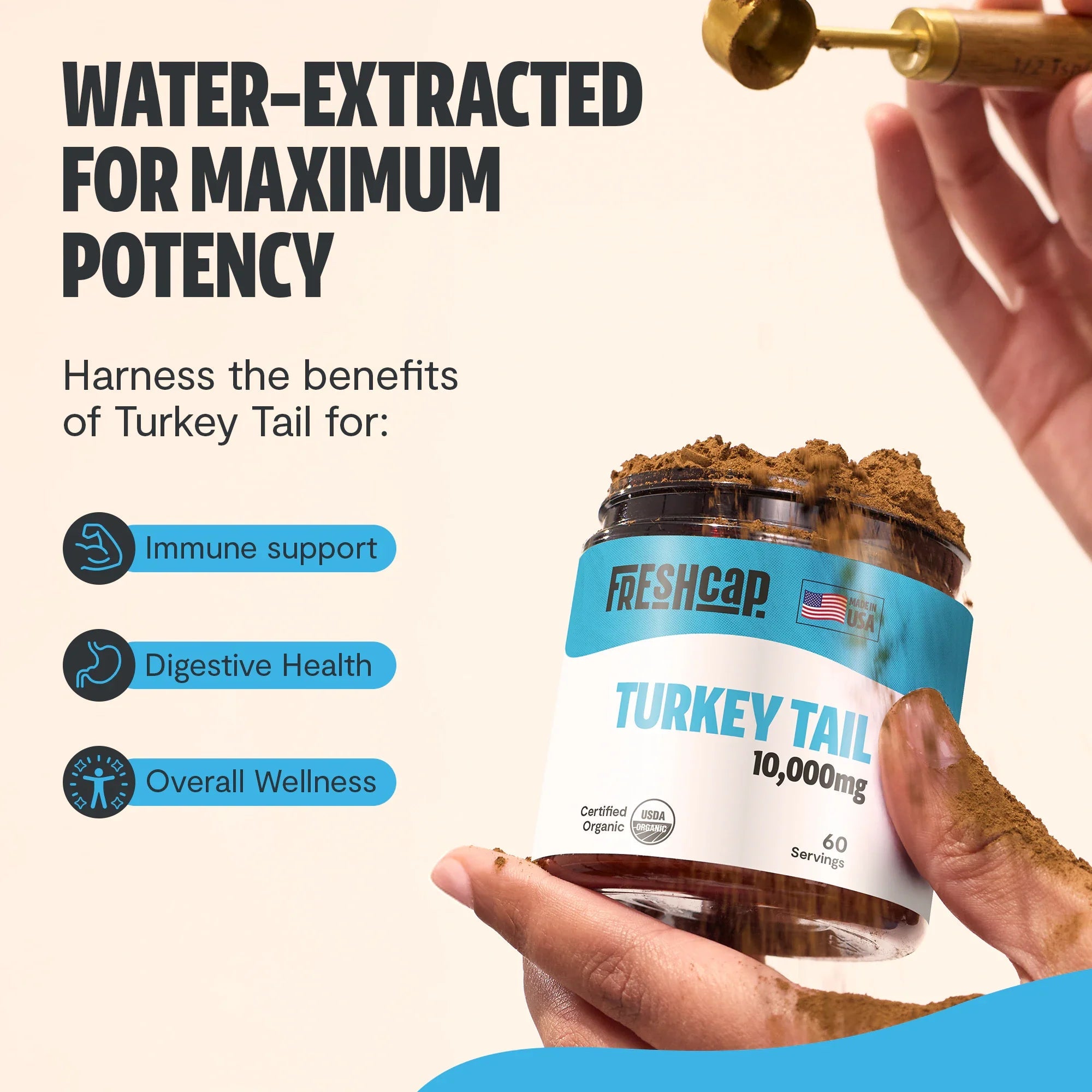 Turkey Tail Mushroom Extract Powder FreshCap Mushrooms