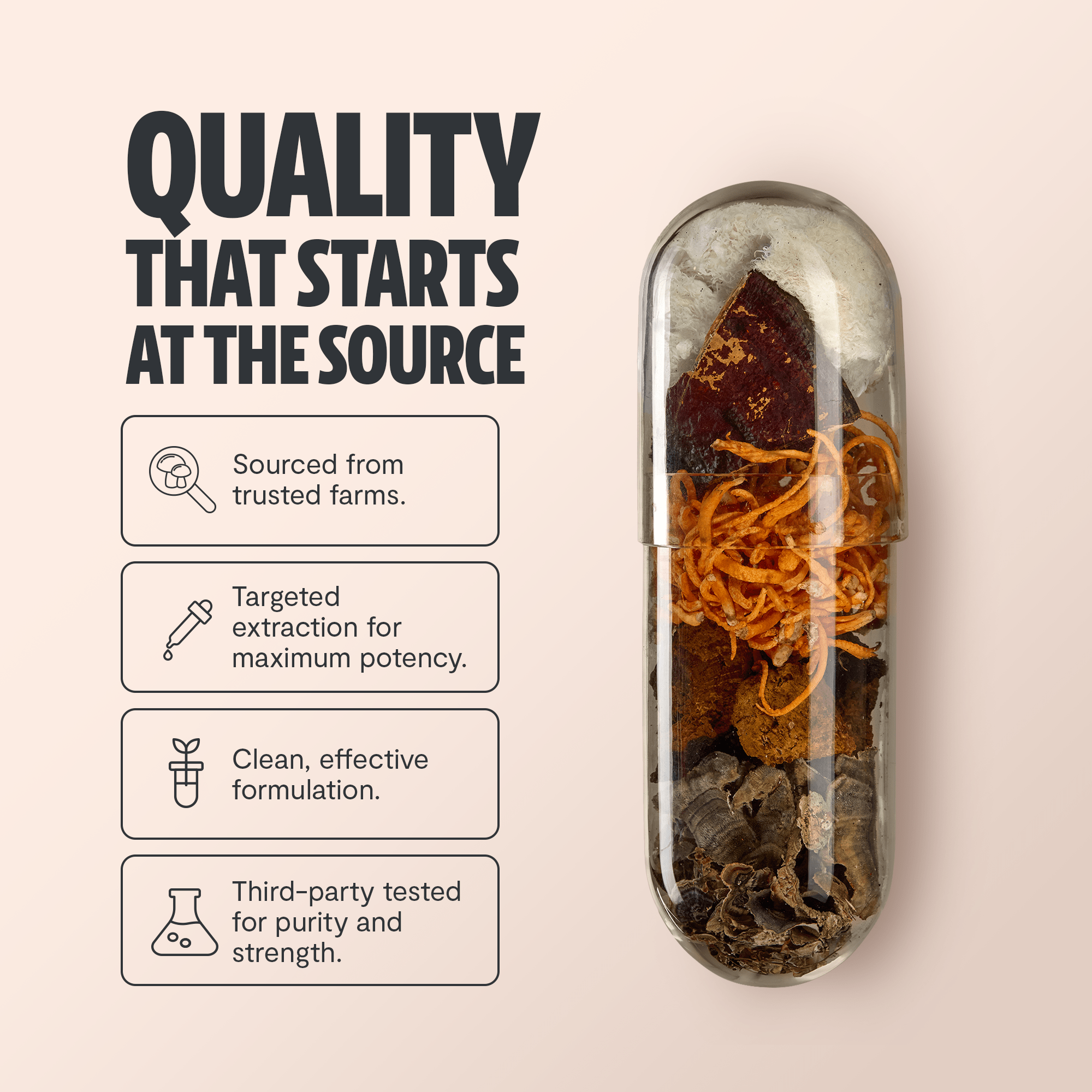 Ultimate Mushroom Complex Capsules FreshCap Mushrooms