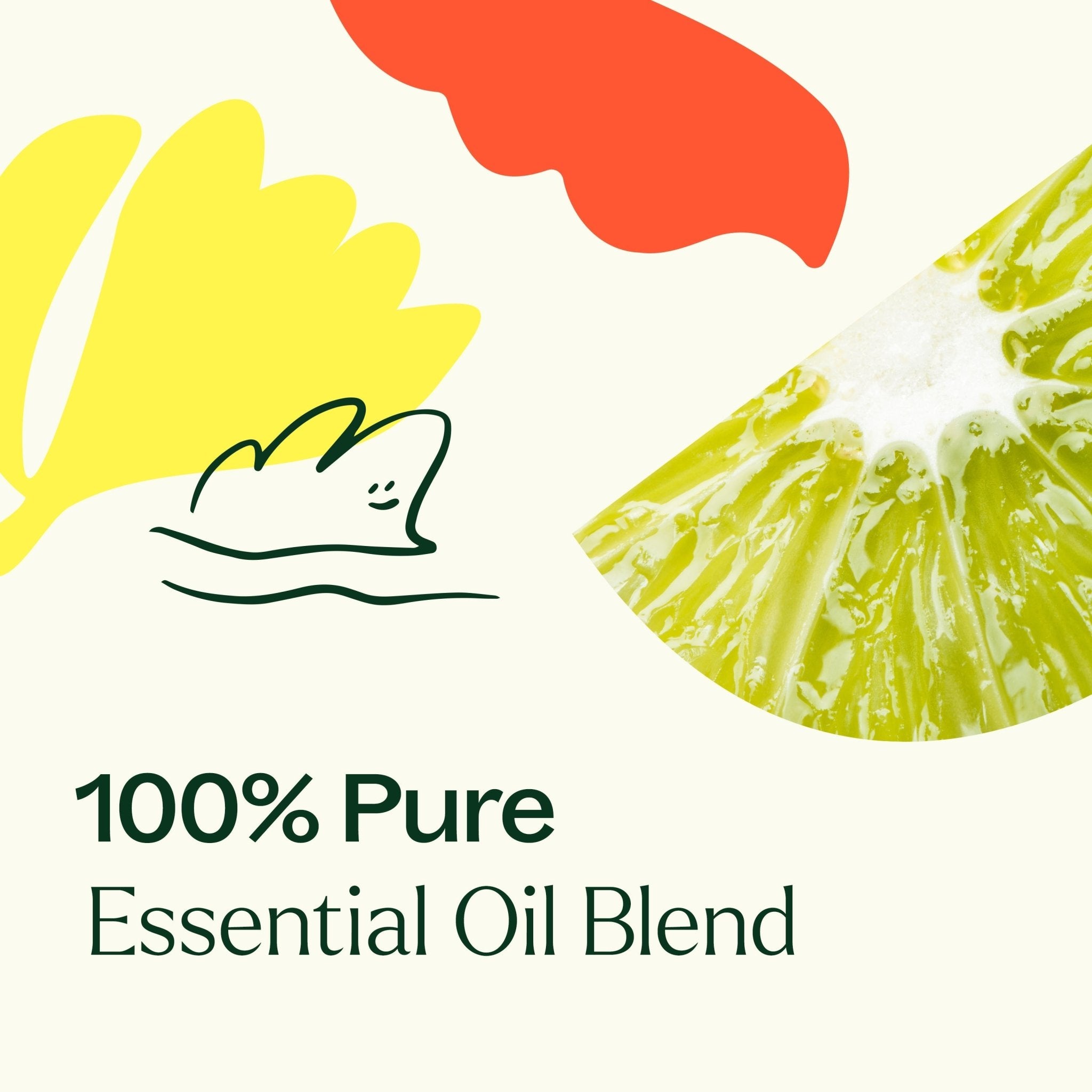 Unwind Essential Oil Blend Plant Therapy