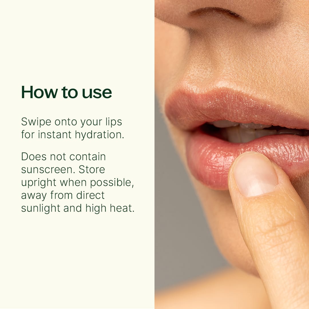 Vanilla Chai Natural Lip Balm Plant Therapy