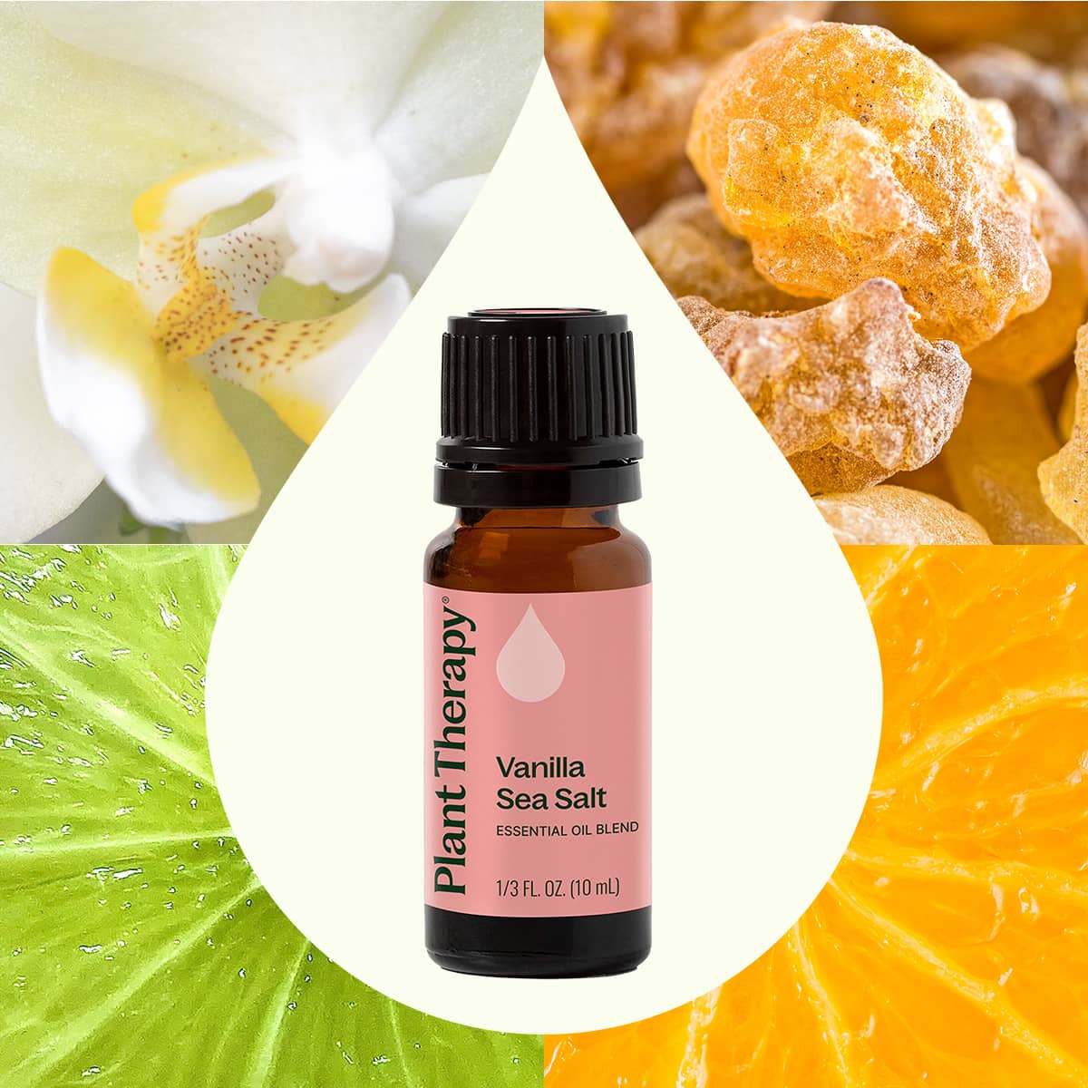 Vanilla Sea Salt Essential Oil Blend Plant Therapy