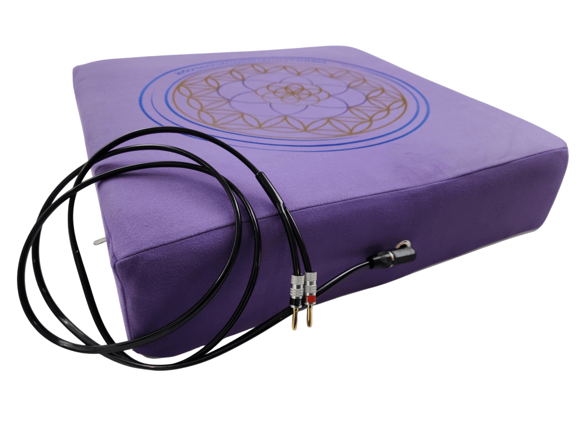 Vibroacoustic Therapy Meditation Cushion bundle with custom amplifier Vibroacoustic Solutions