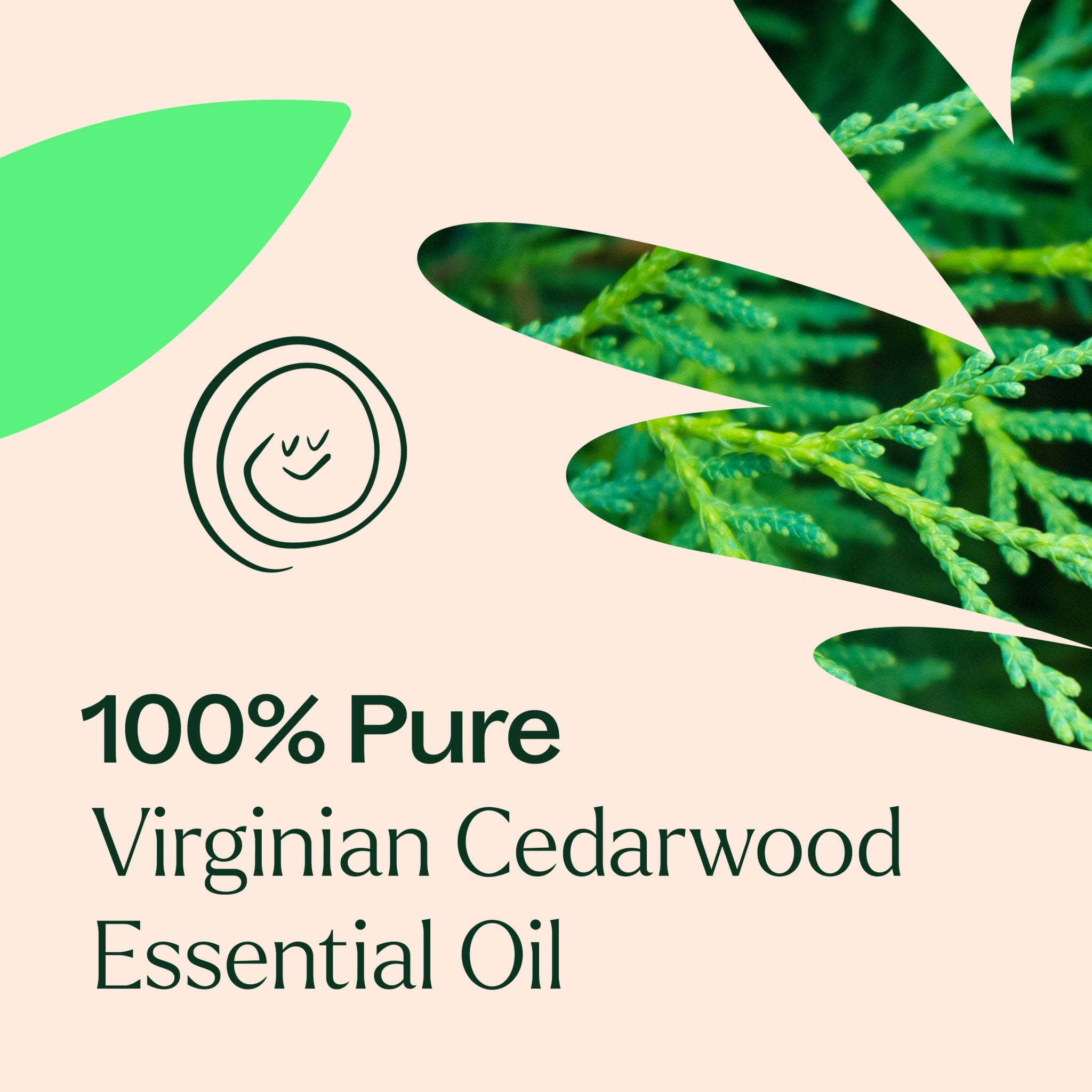 Virginian Cedarwood Essential Oil Plant Therapy